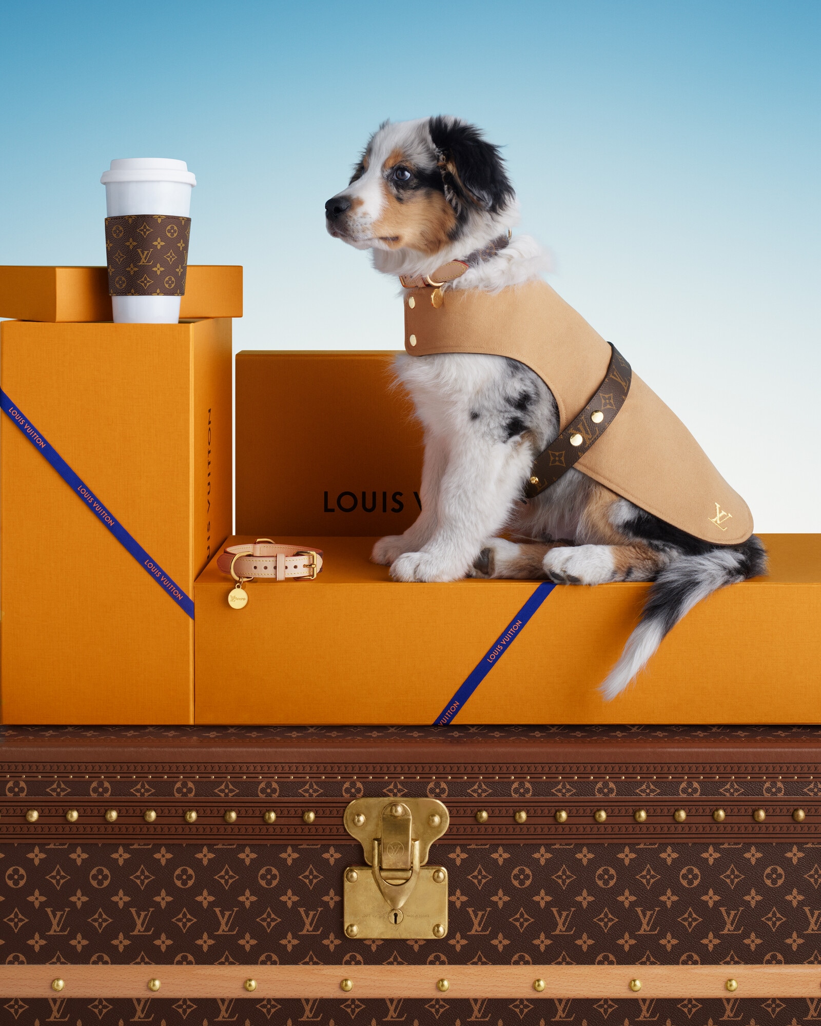 Pets Gifts for Pets Gifts for Pets | LOUIS VUITTON