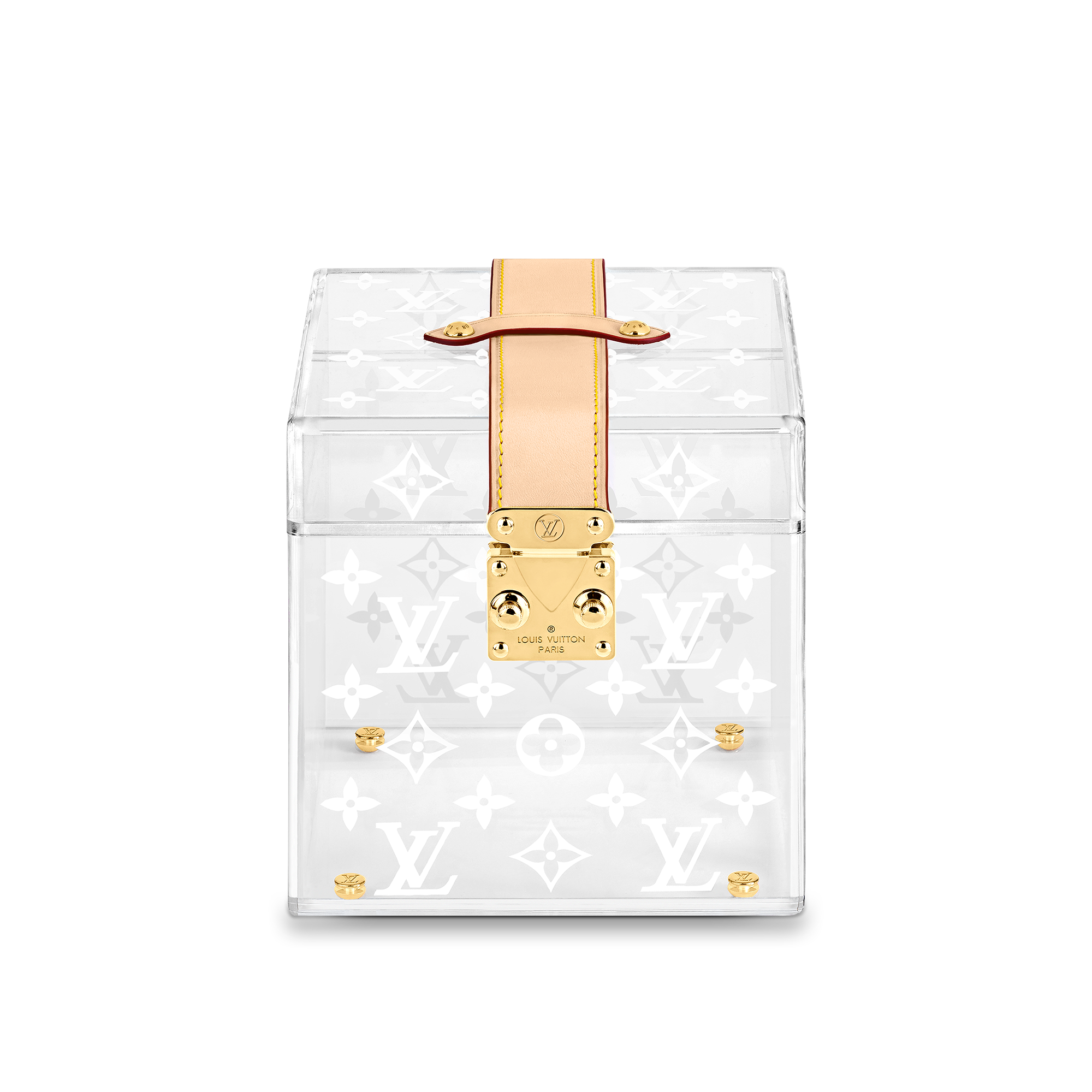 louis vuitton perspex bag