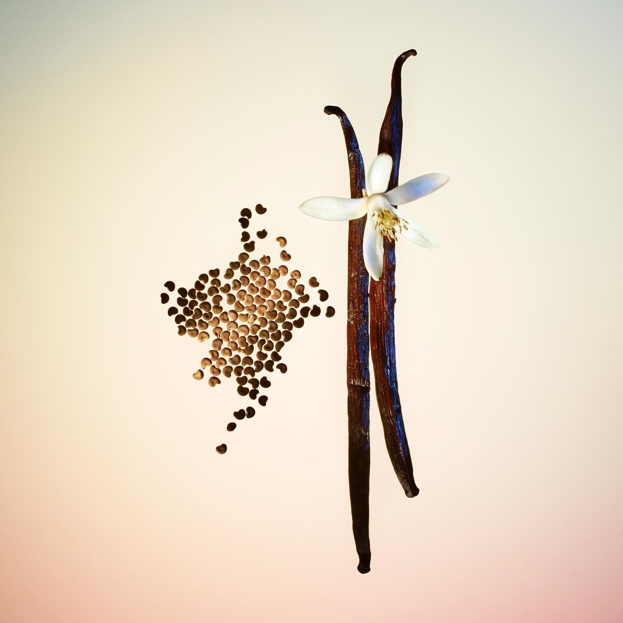 louis vuitton contre moi price