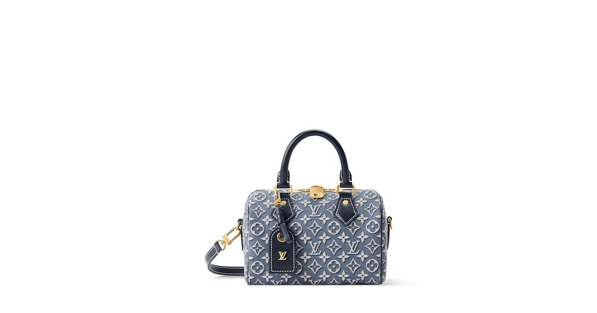 Louis Vuitton Speedy Bandoulière 20 Review & Quality Analysis