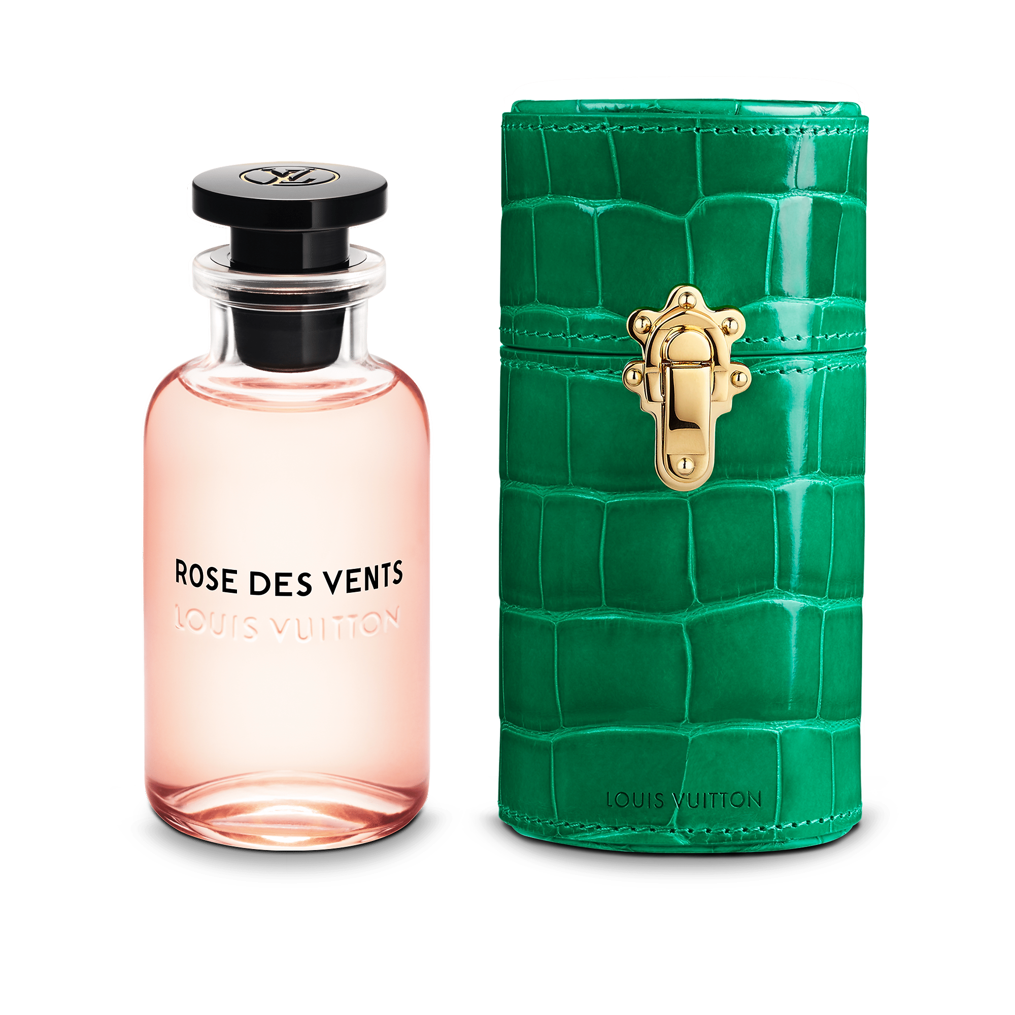 100ml Travel Case