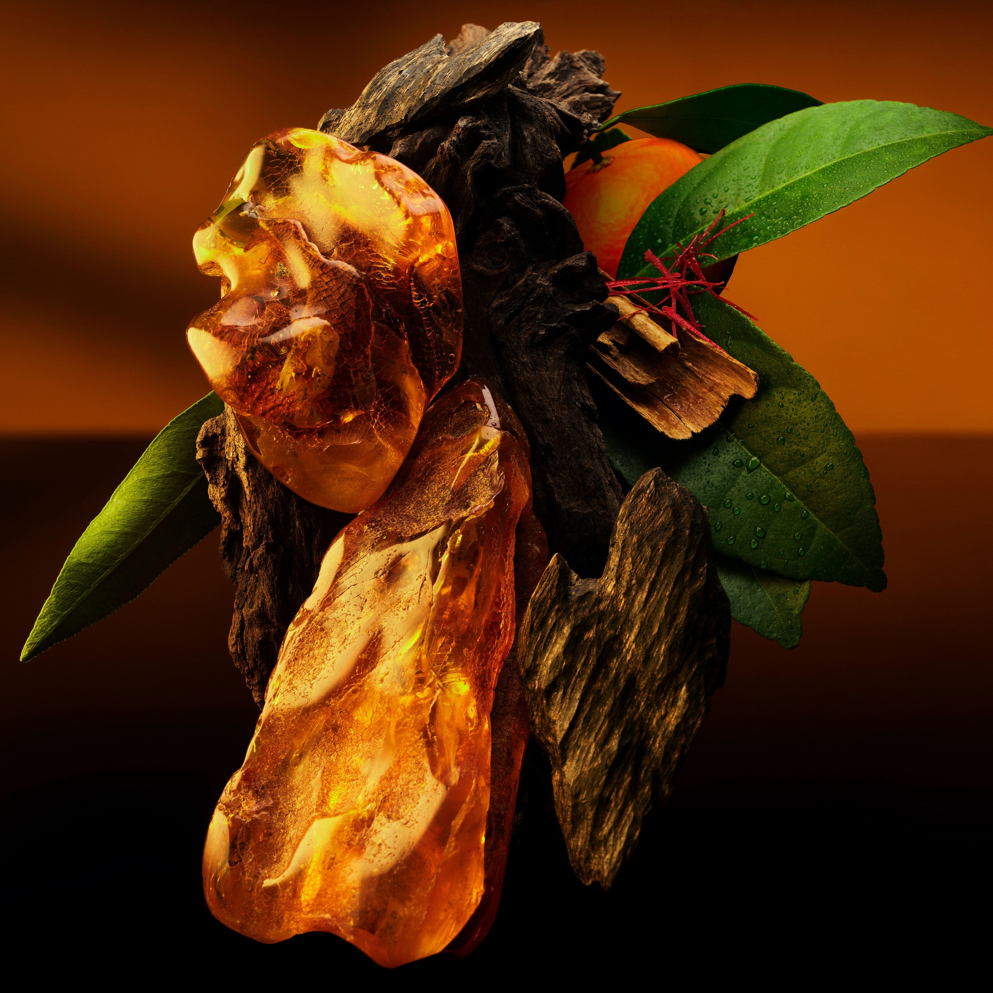Ambre Levant - Perfumes and Beauty - All Perfumes | LOUIS VUITTON ®