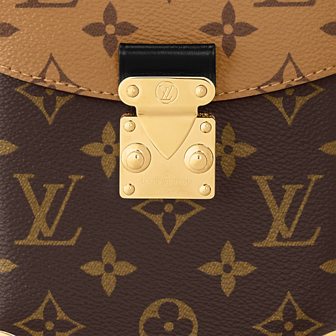 Other Monogram Canvas Handbags All Collections Camera Box | Louis Vuitton ® (Product zoom)