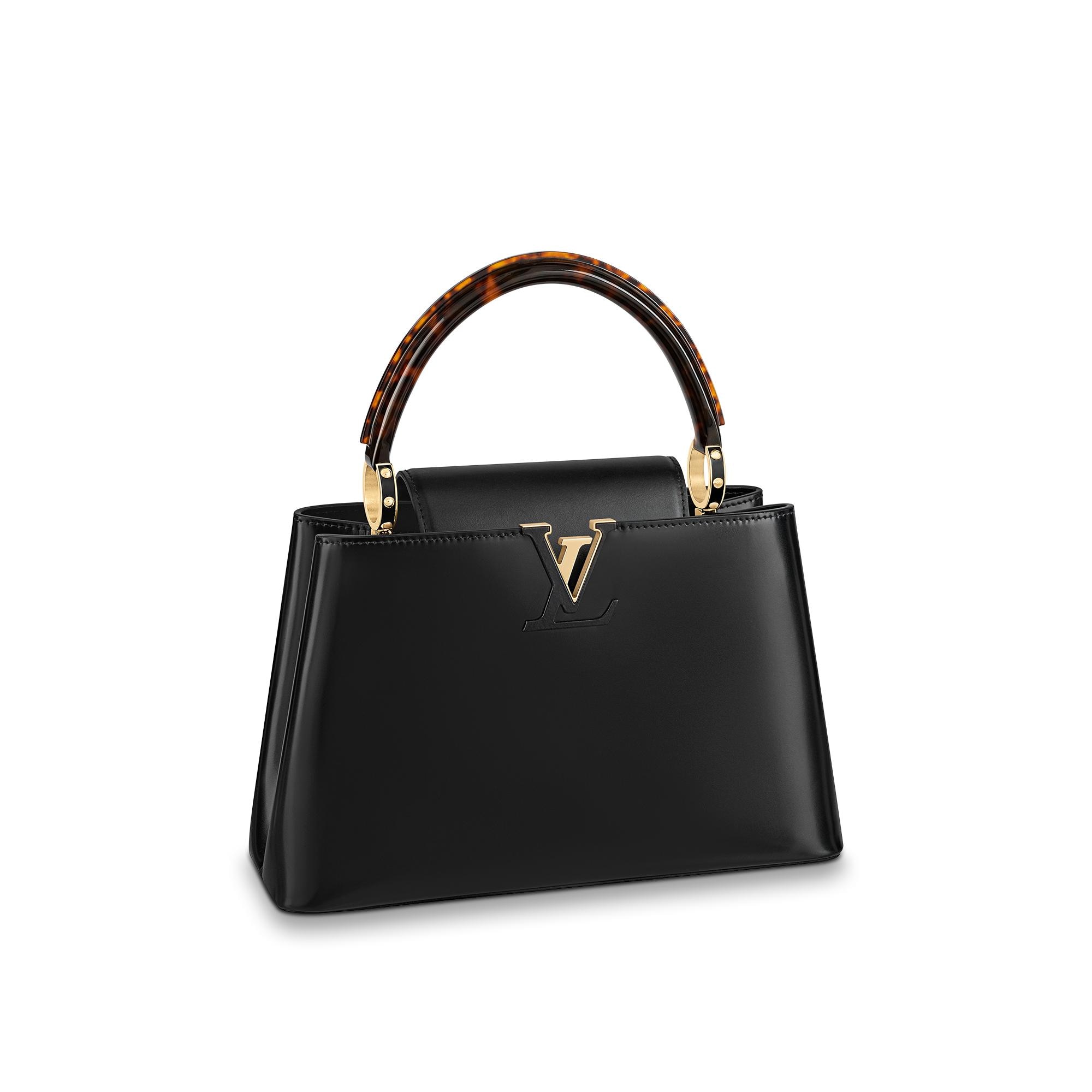 Louis Vuitton Chevron Capucines Bag | Bragmybag