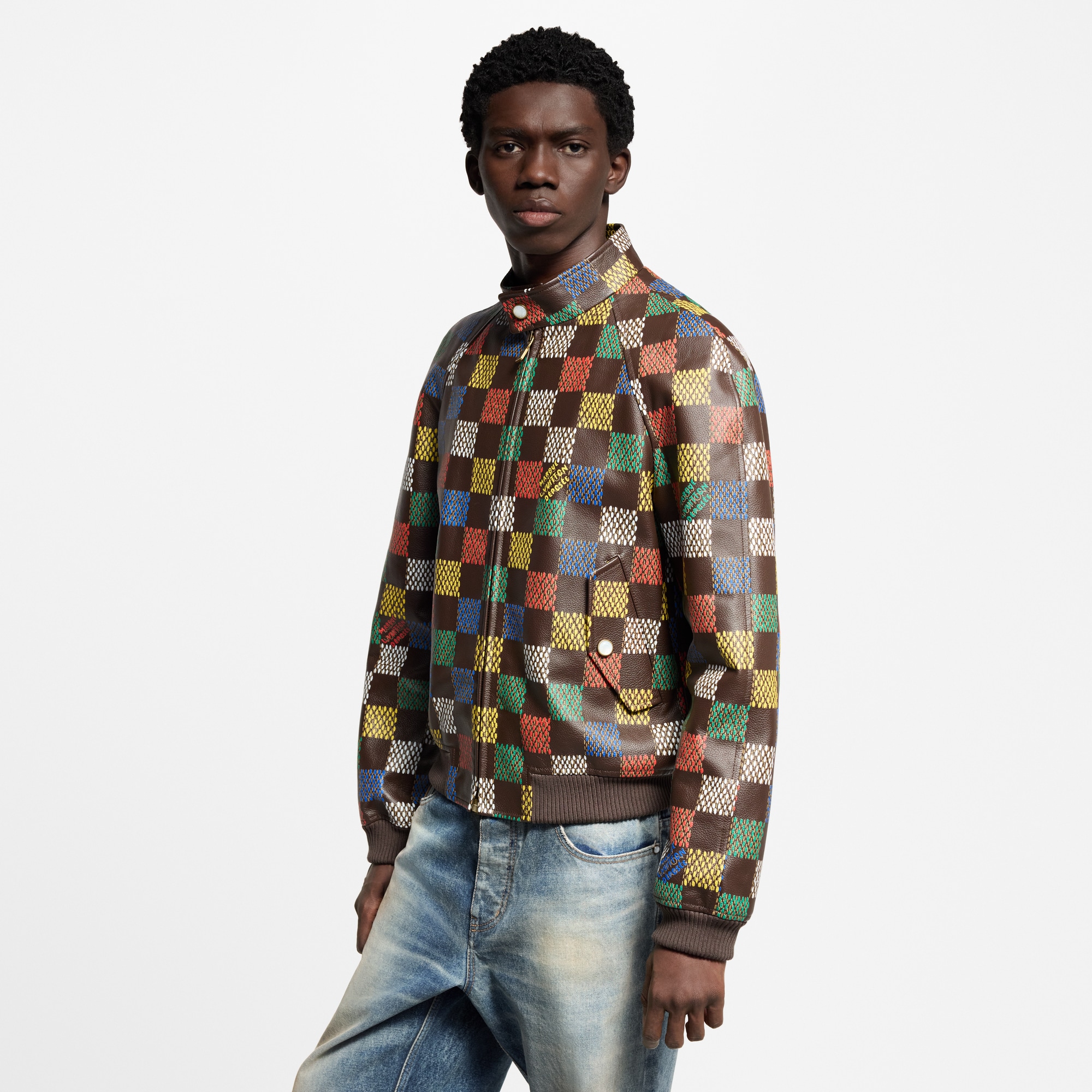  Ready-to-Wear Coats and Outerwear Damier Leather Blouson  | Louis Vuitton ® (Product zoom)