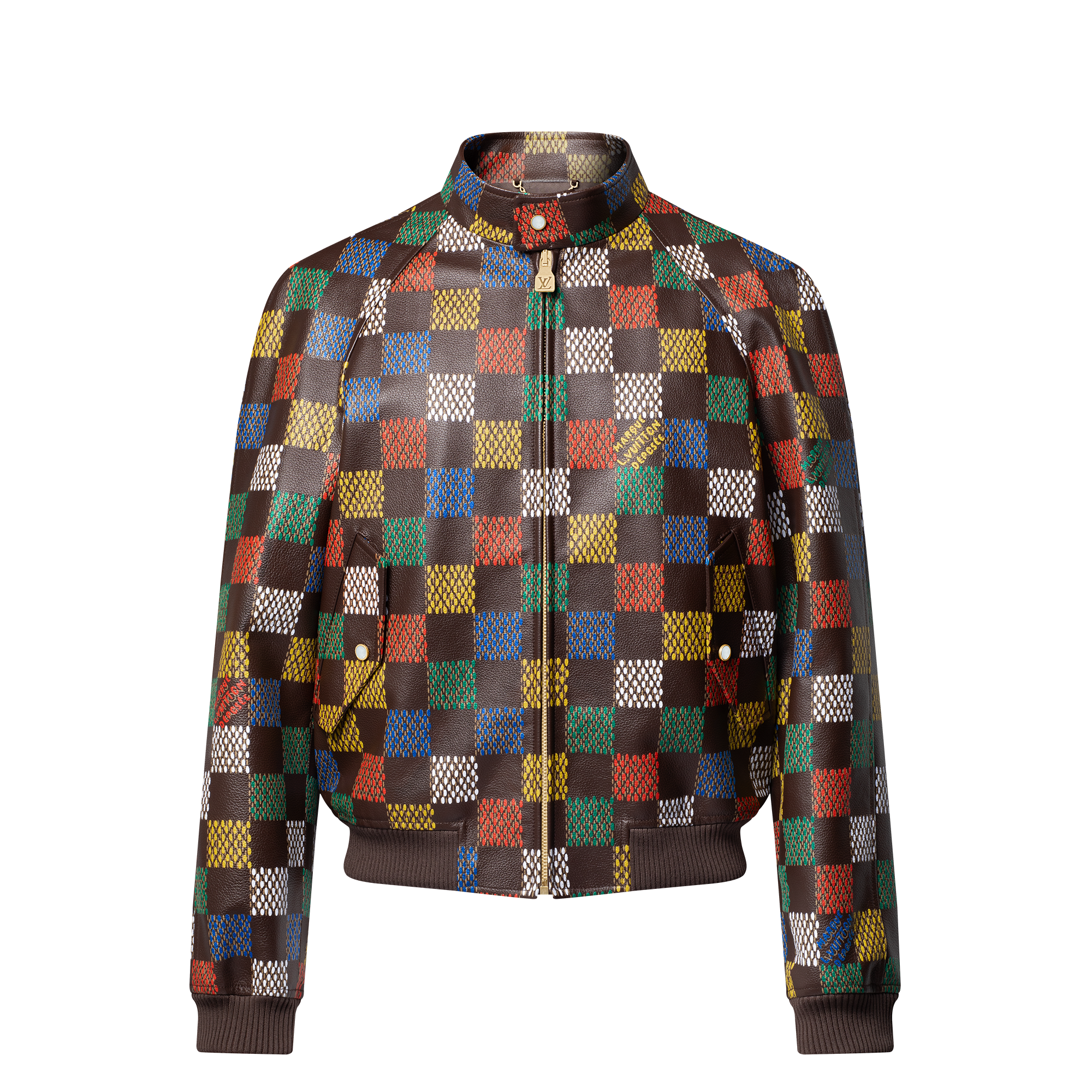  Ready-to-Wear Coats and Outerwear Damier Leather Blouson  | Louis Vuitton ® (Product zoom)