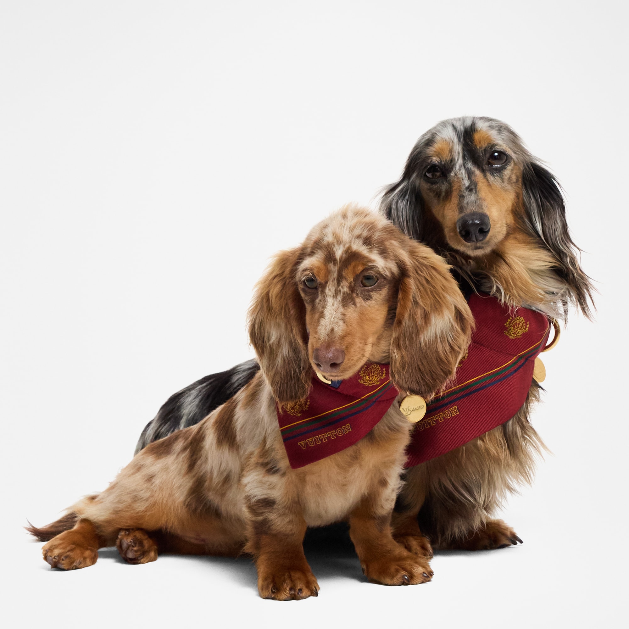  Pets Accessories } Dog Bandana MM | Louis Vuitton ® (Product zoom)