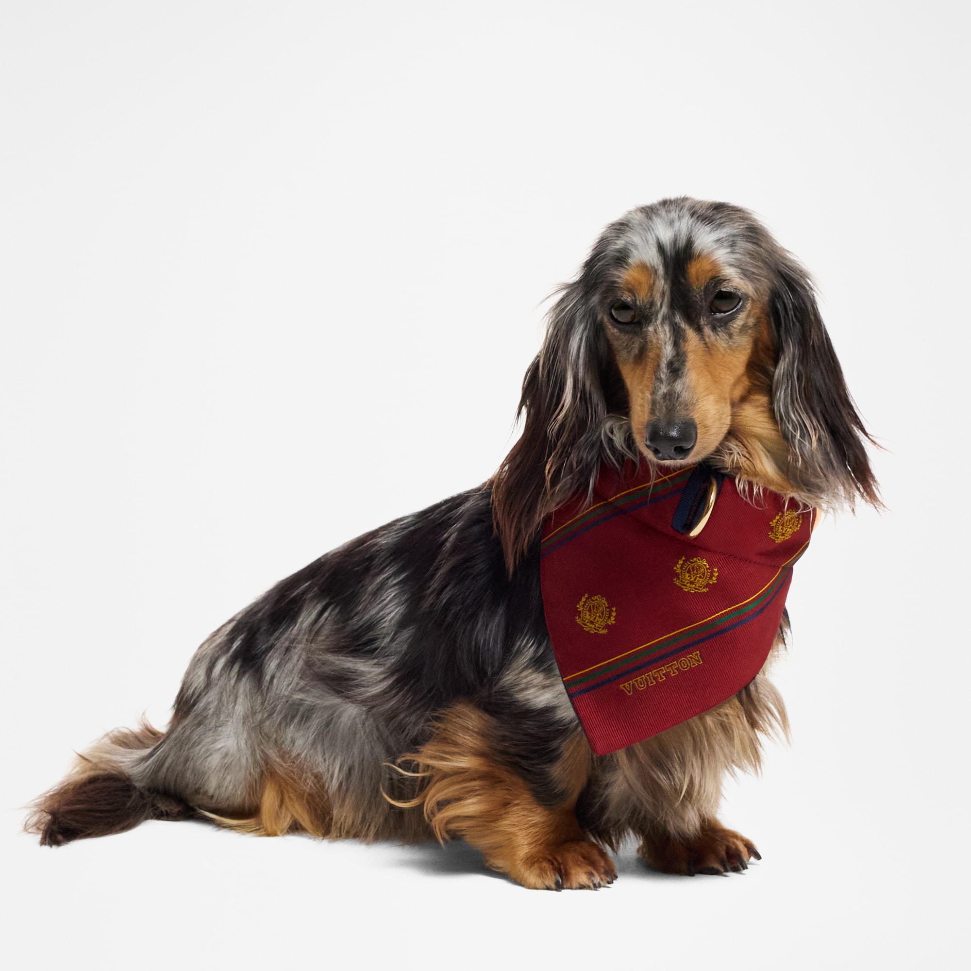  Pets Accessories } Dog Bandana MM | Louis Vuitton ® (Product zoom)