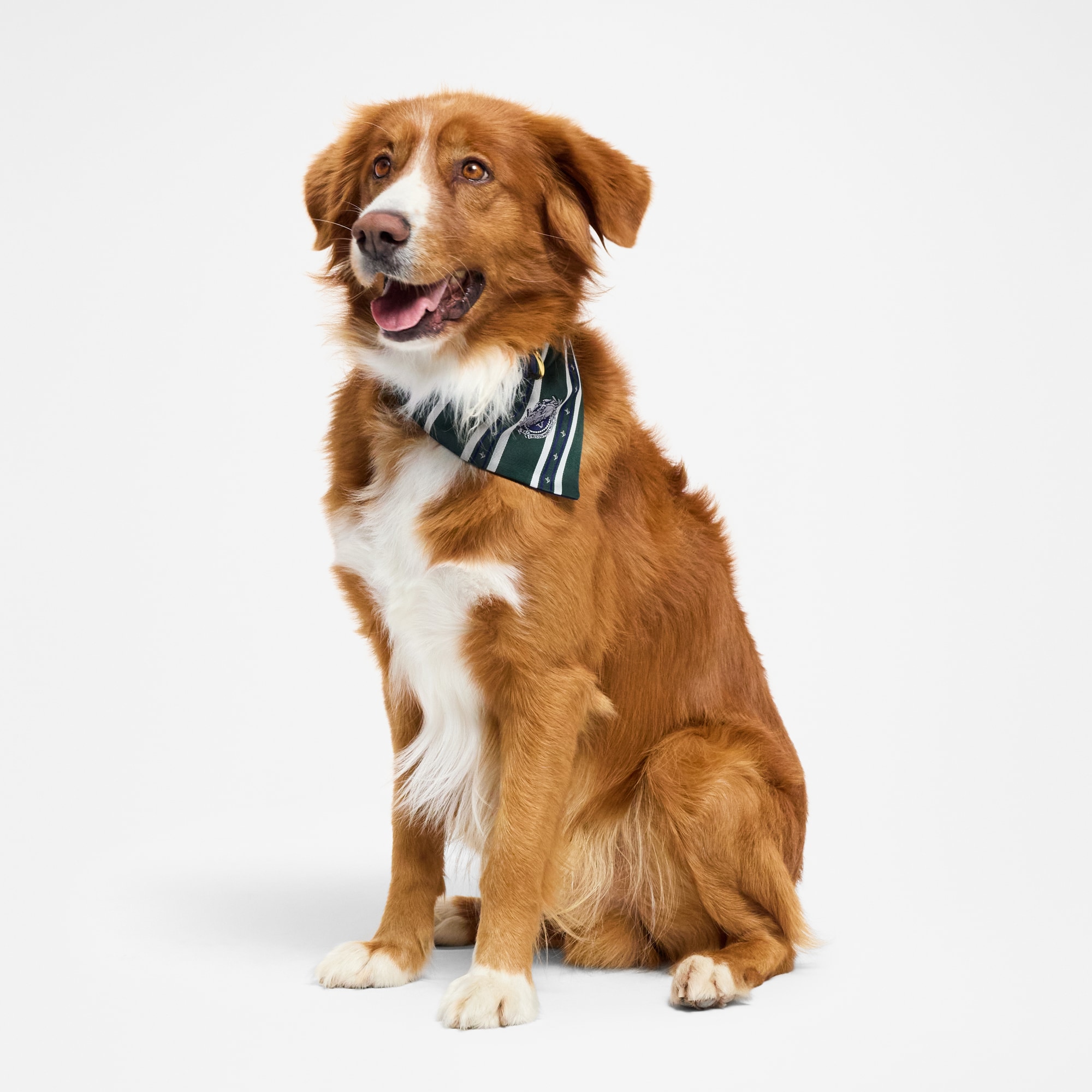  Pets Accessories } Dog Bandana MM | Louis Vuitton ® (Product zoom)