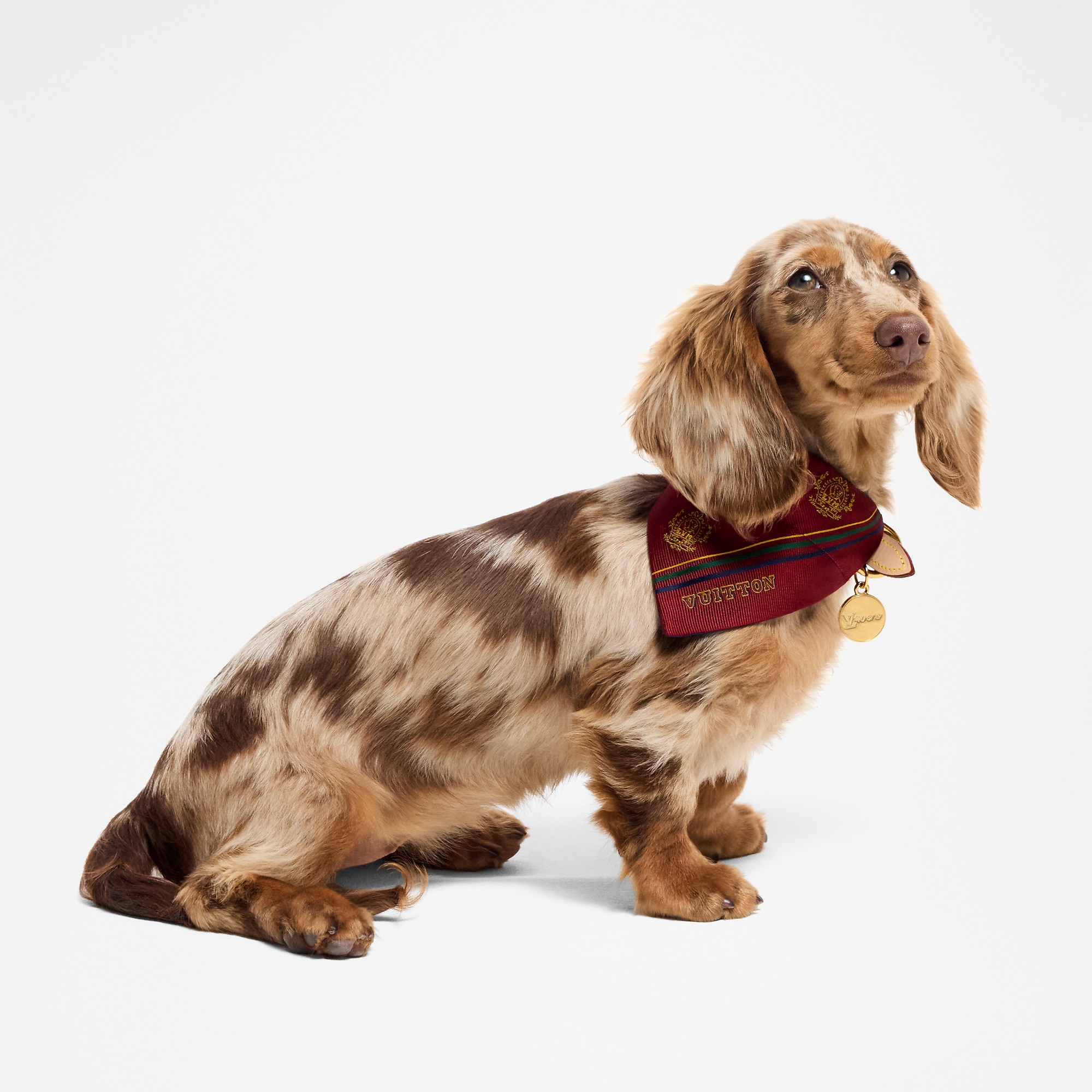 Dog Bandana PM
