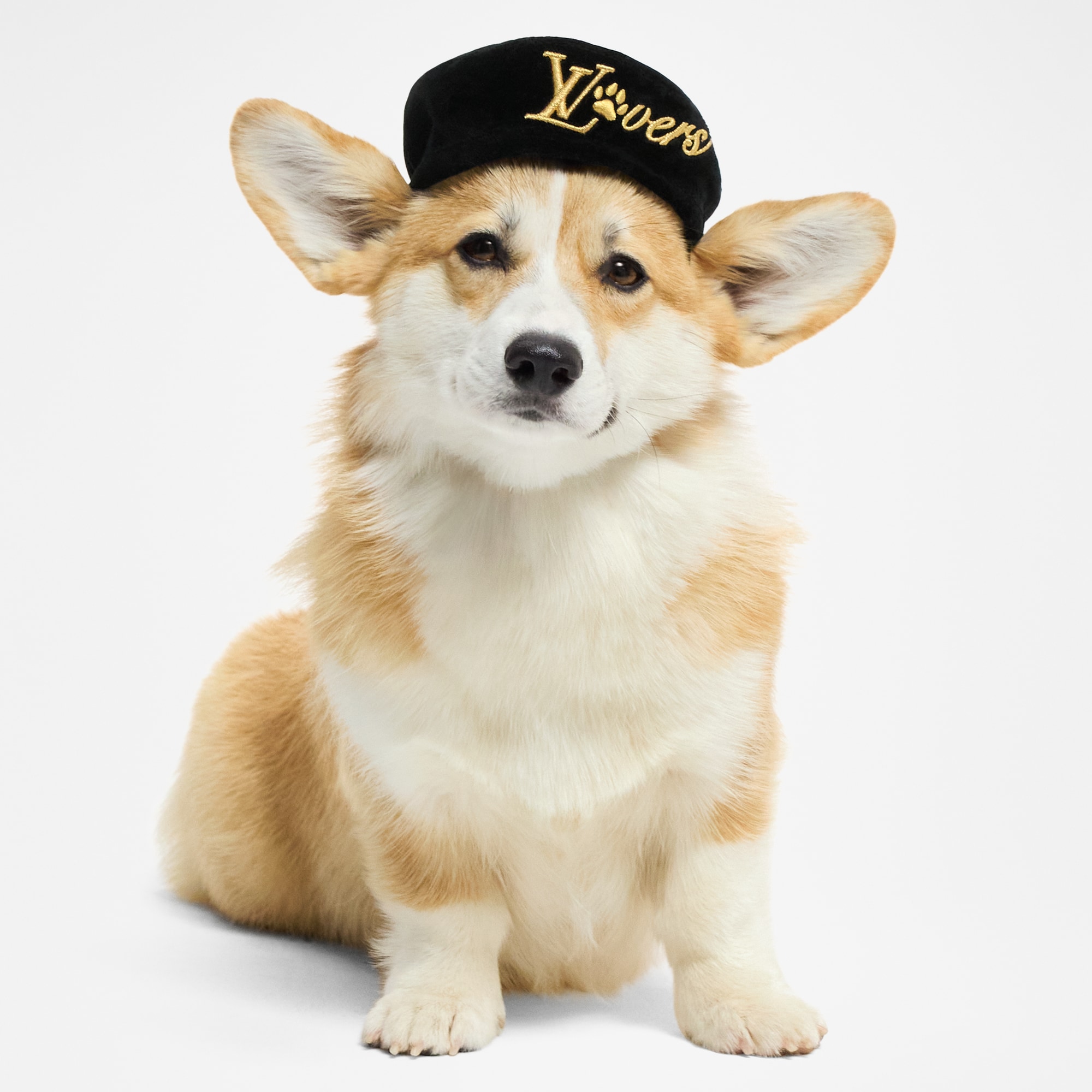  Pets Accessories } Dog Beret MM | Louis Vuitton ® (Product zoom)