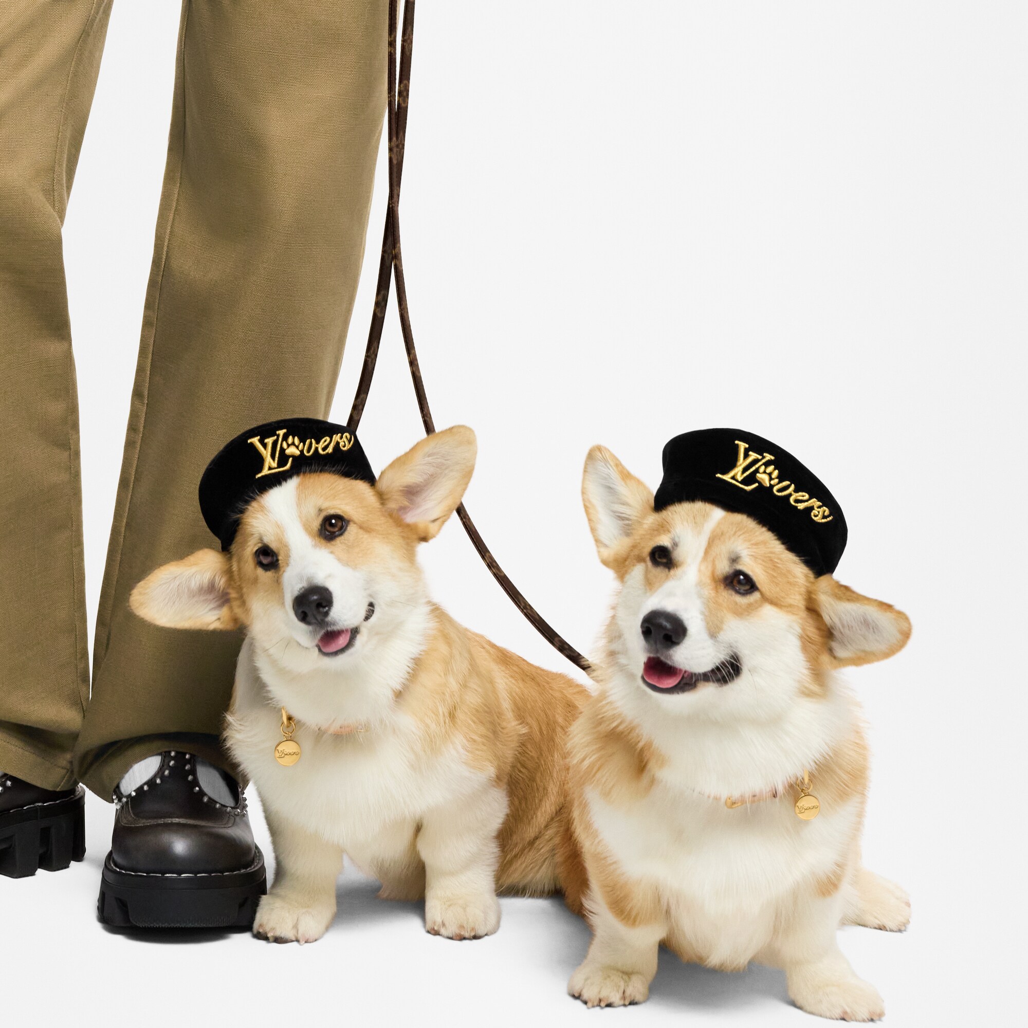  Pets Accessories } Dog Beret PM | Louis Vuitton ® (Product zoom)