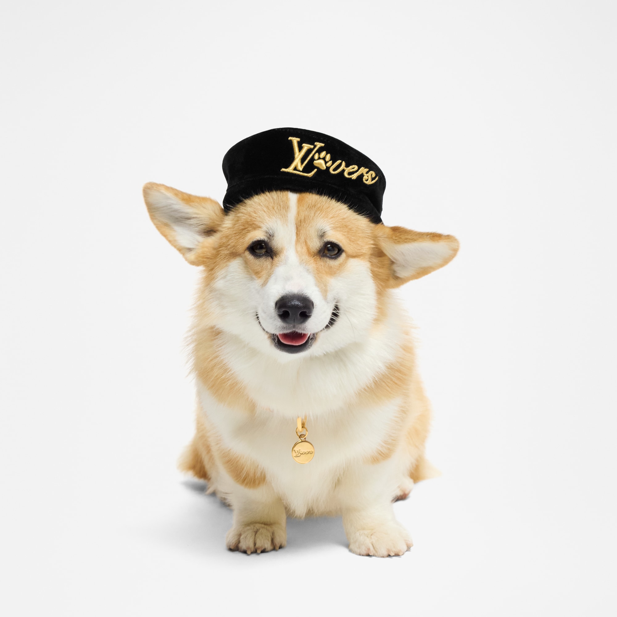  Pets Accessories } Dog Beret PM | Louis Vuitton ® (Product zoom)