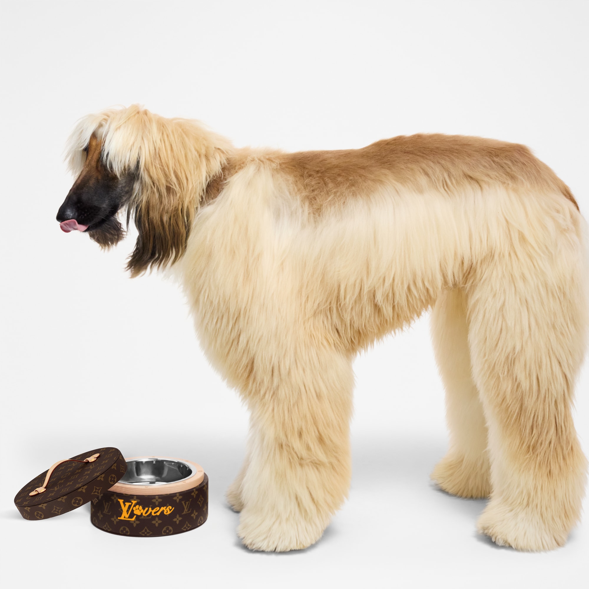  Pets Accessories } Dog Bowl | Louis Vuitton ® (Product zoom)