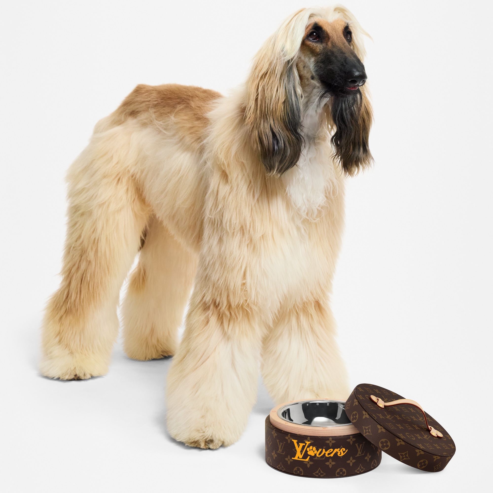  Pets Accessories } Dog Bowl | Louis Vuitton ® (Product zoom)