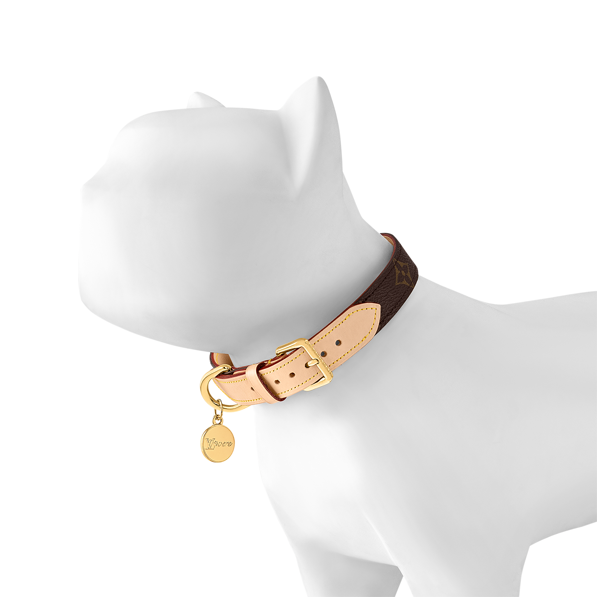 Dog Collar MM