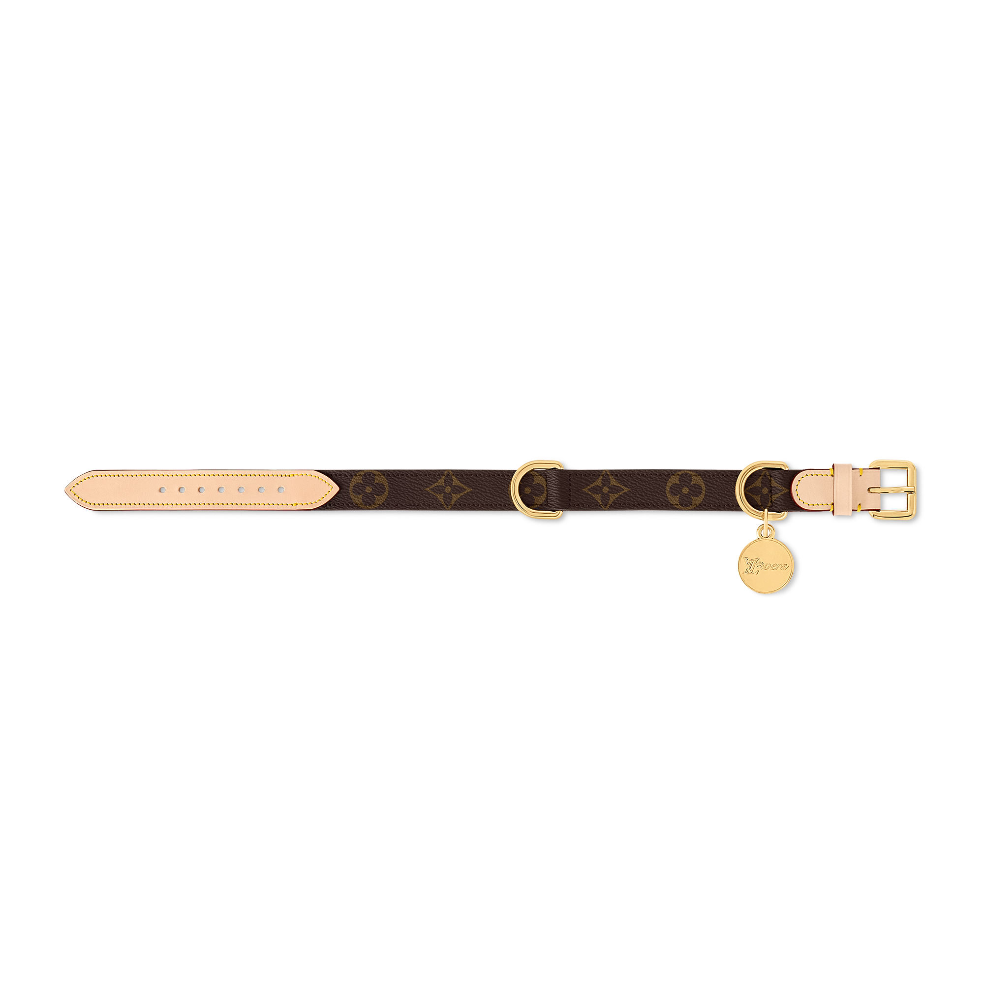 Dog Collar PM