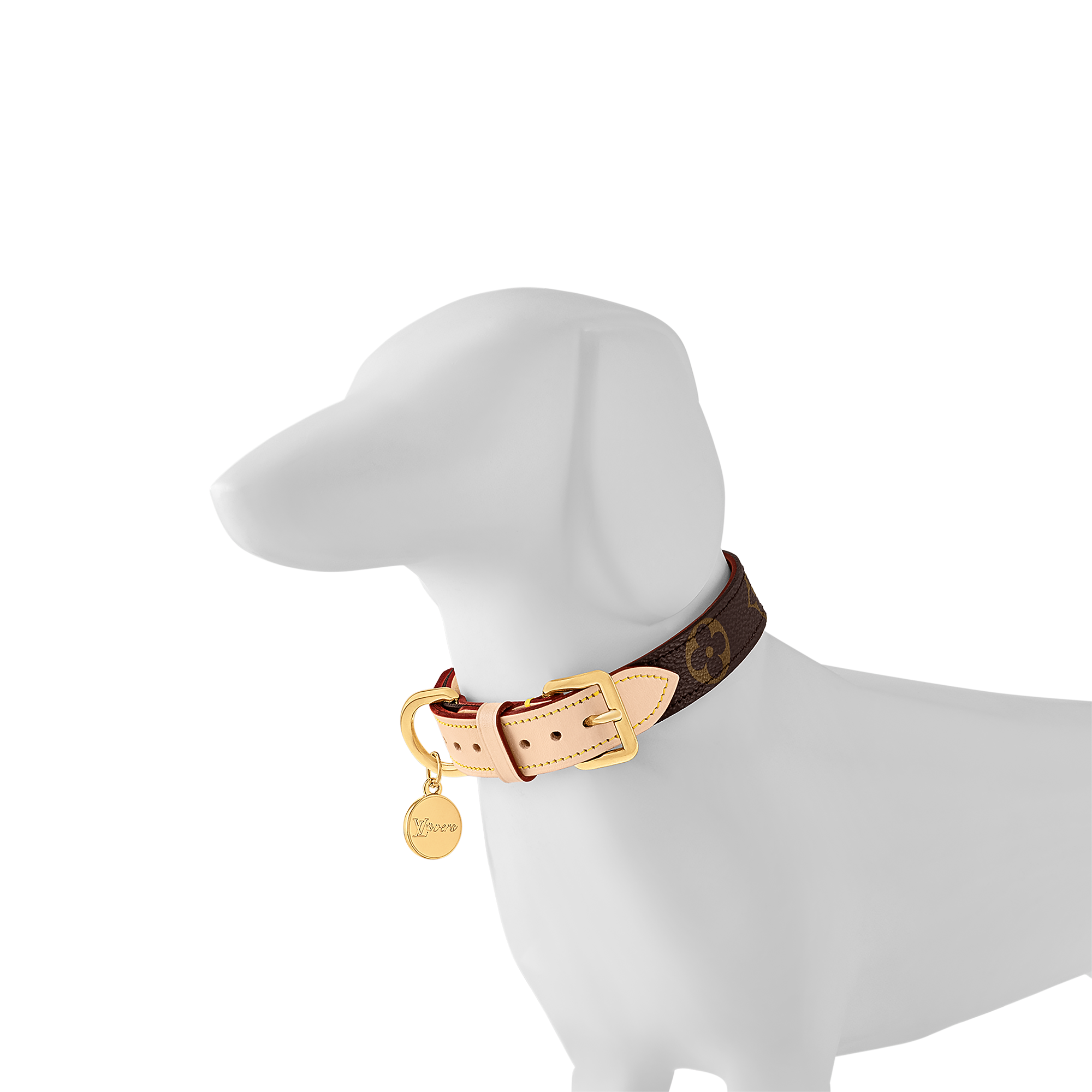 Dog Collar PM