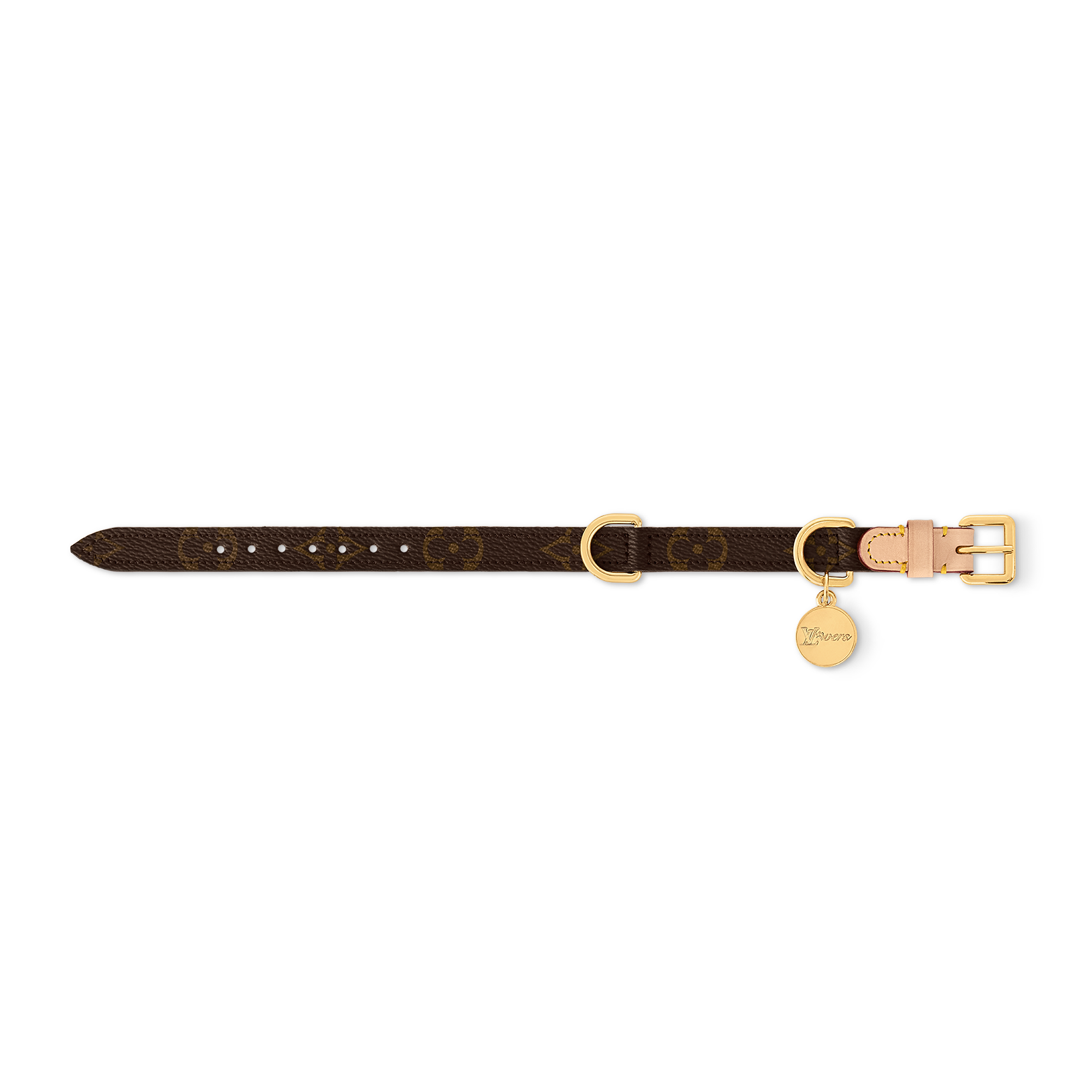 Dog Collar XS