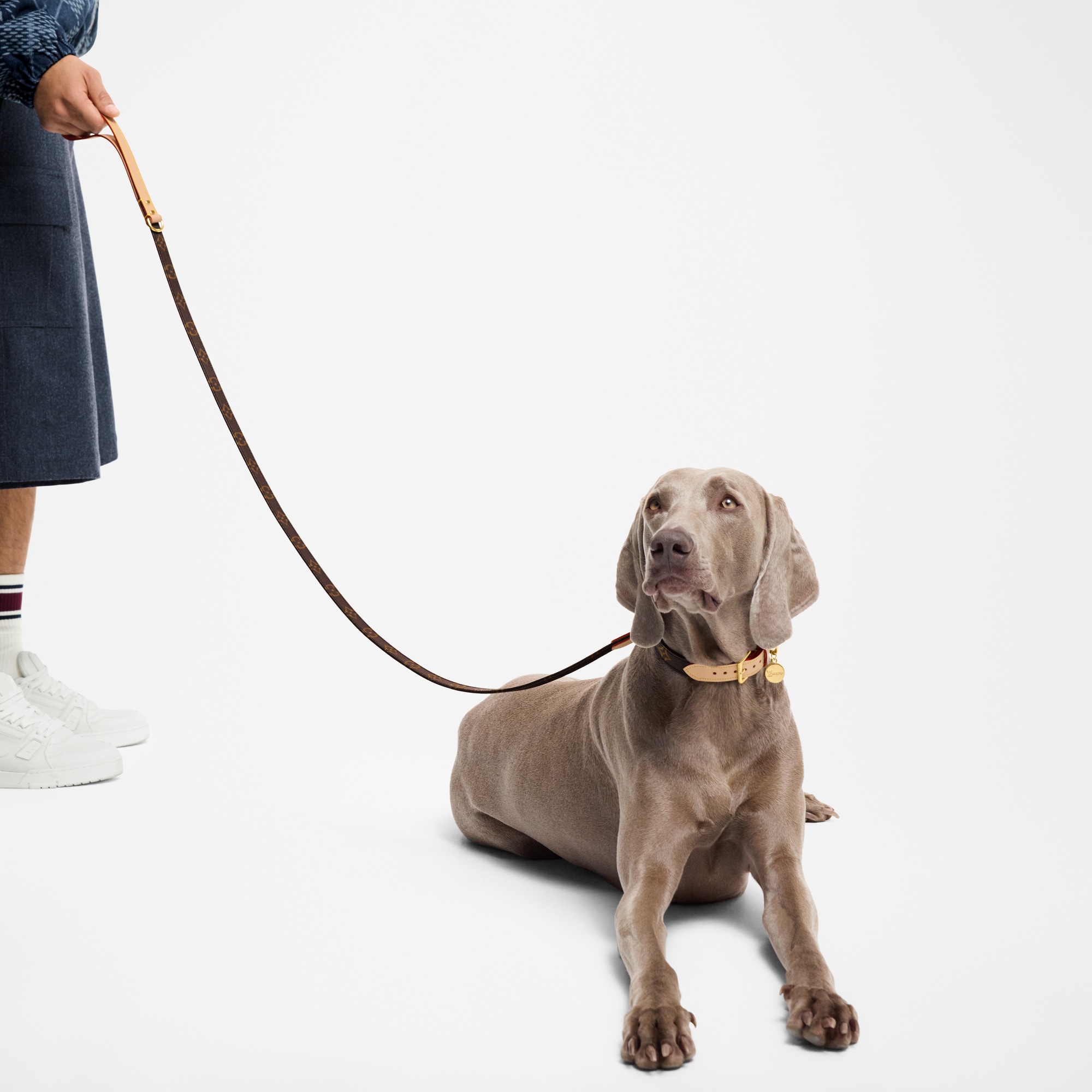  Pets Accessories } Dog Leash MM | Louis Vuitton ® (Product zoom)