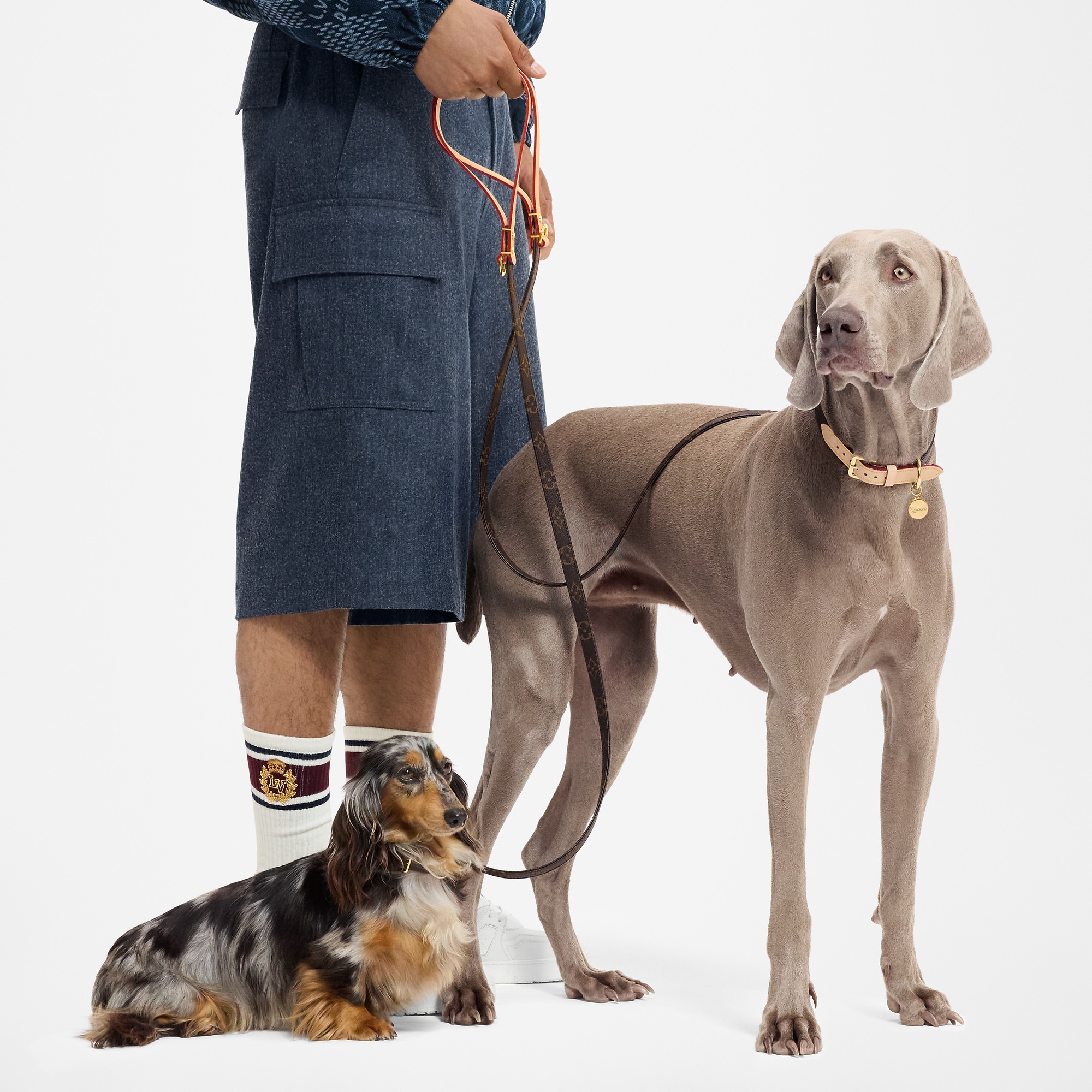 Dog Leash PM