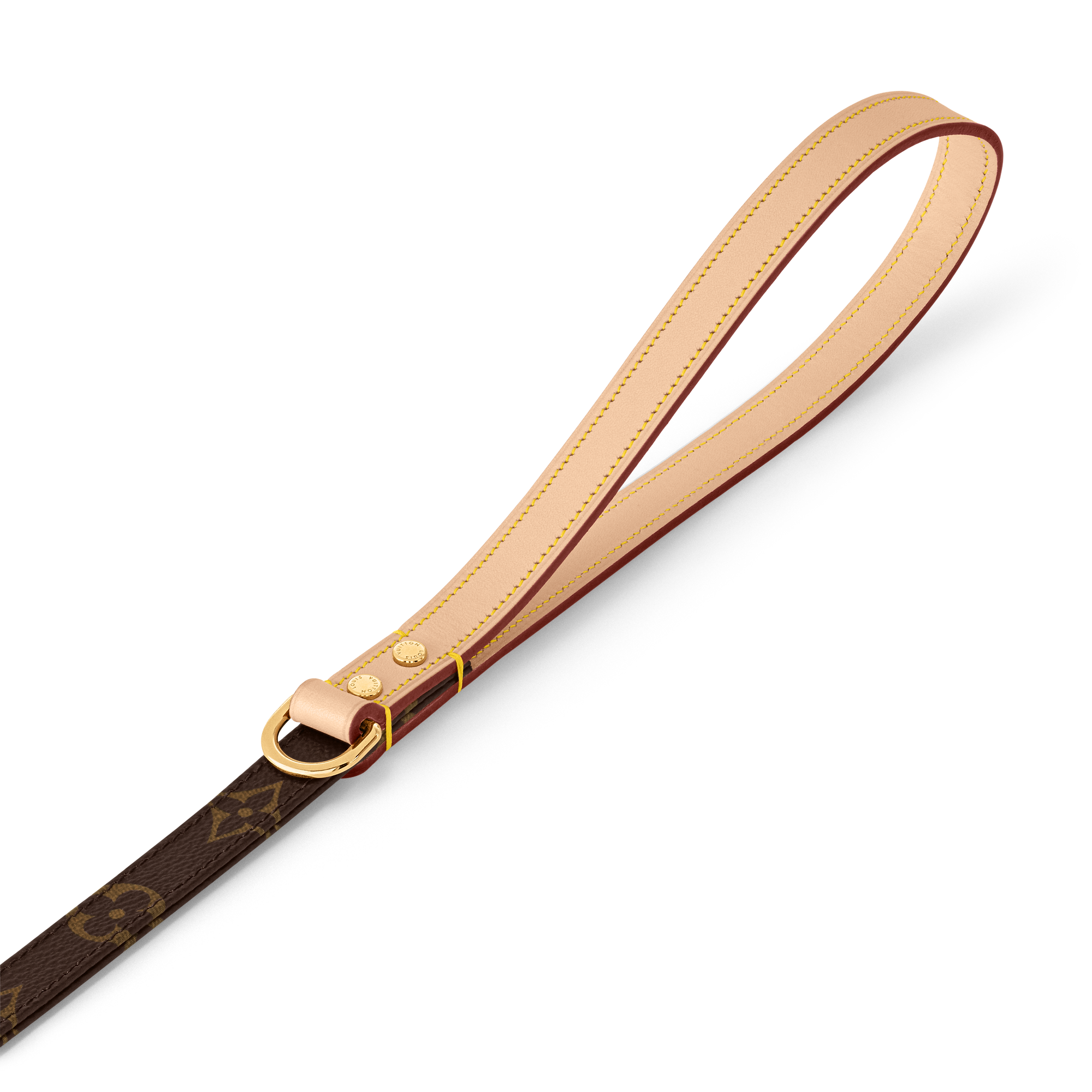 Dog Leash PM