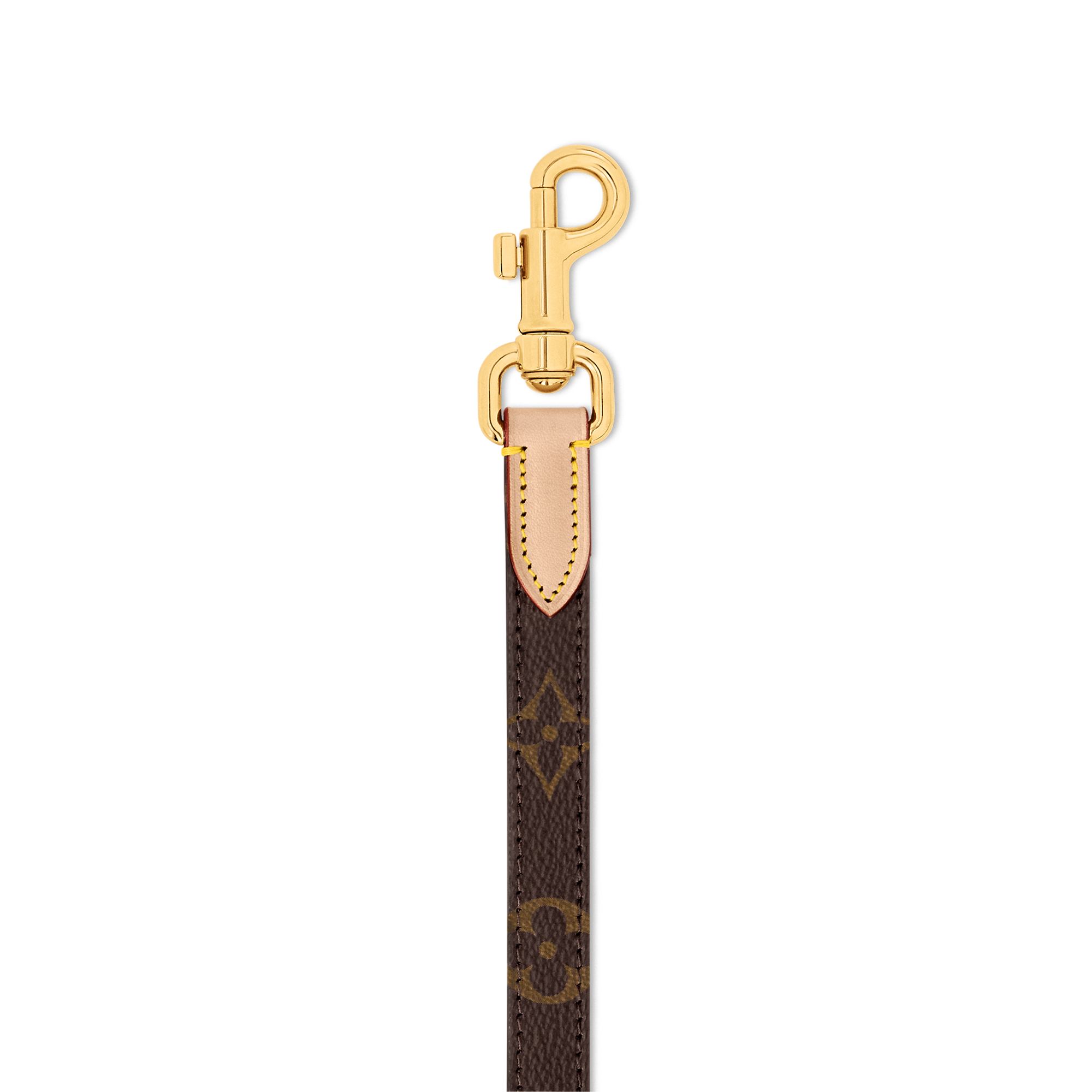 Dog Leash PM