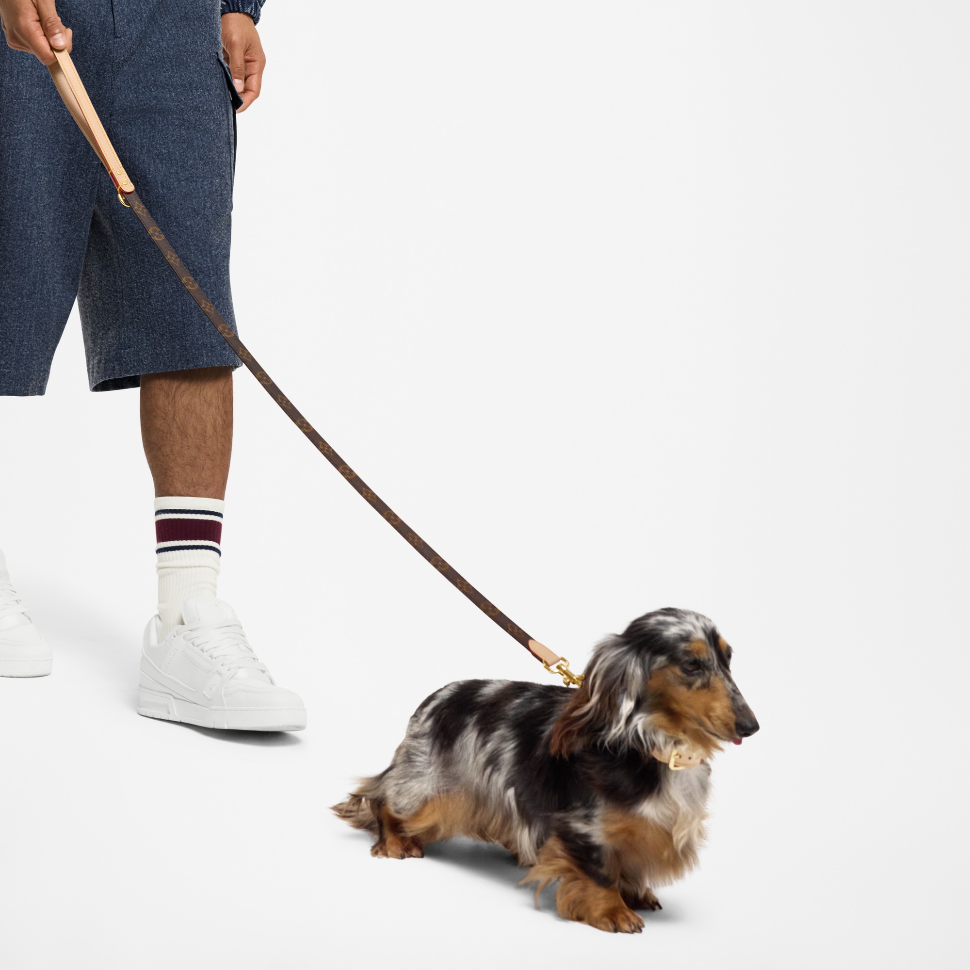  Pets Accessories } Dog Leash PM | Louis Vuitton ® (Product zoom)