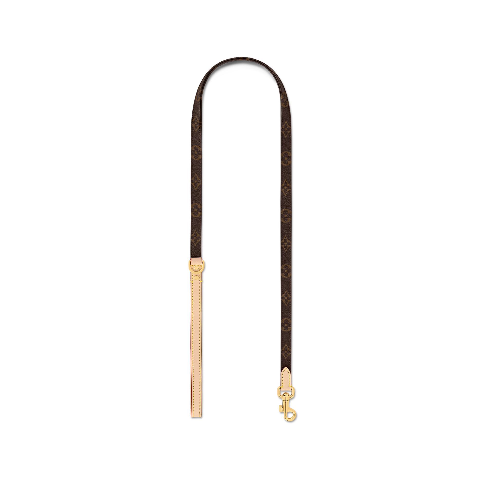 Dog Leash PM