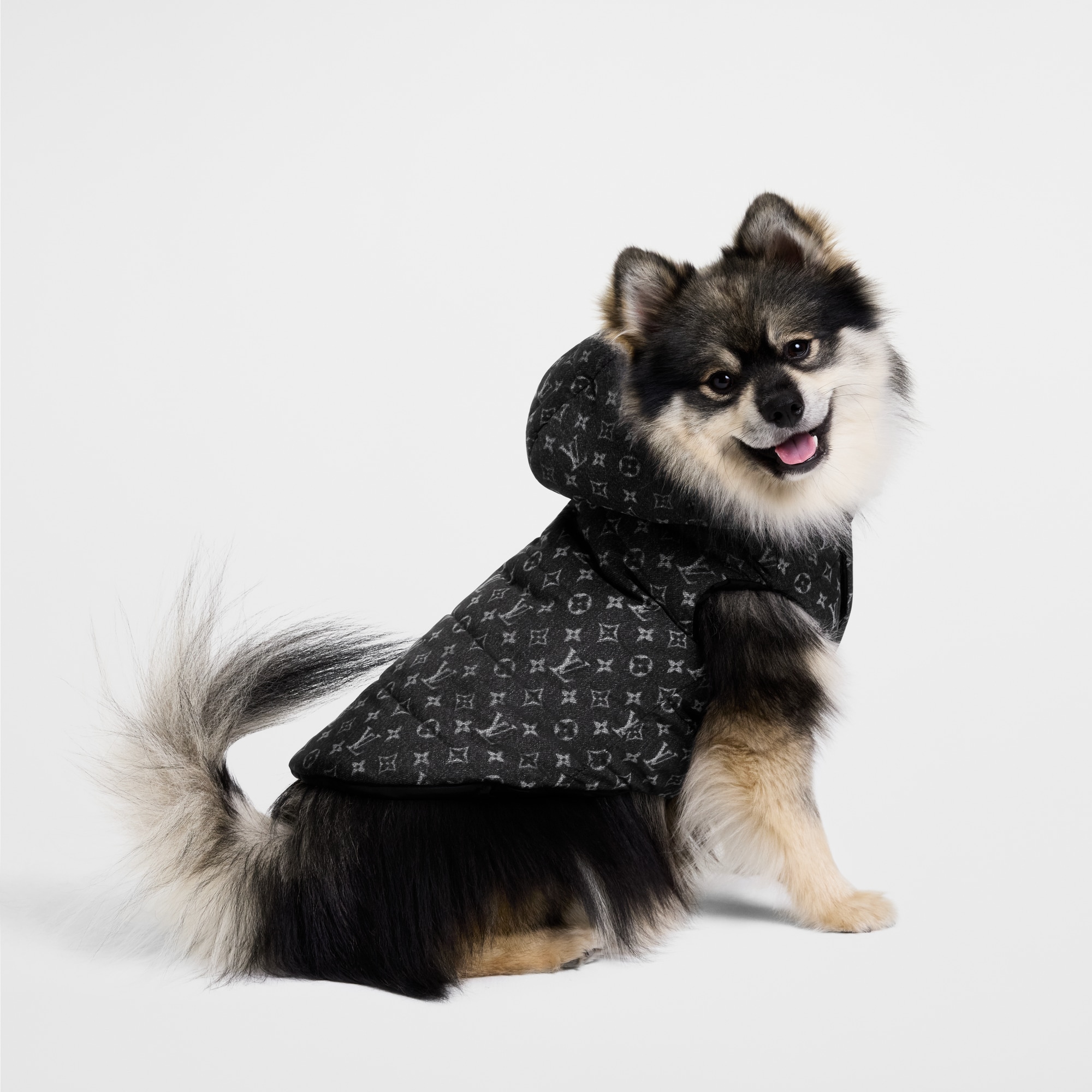 S00 Pets Accessories } Dog Puffer Jacket PM | Louis Vuitton ® (Product zoom)