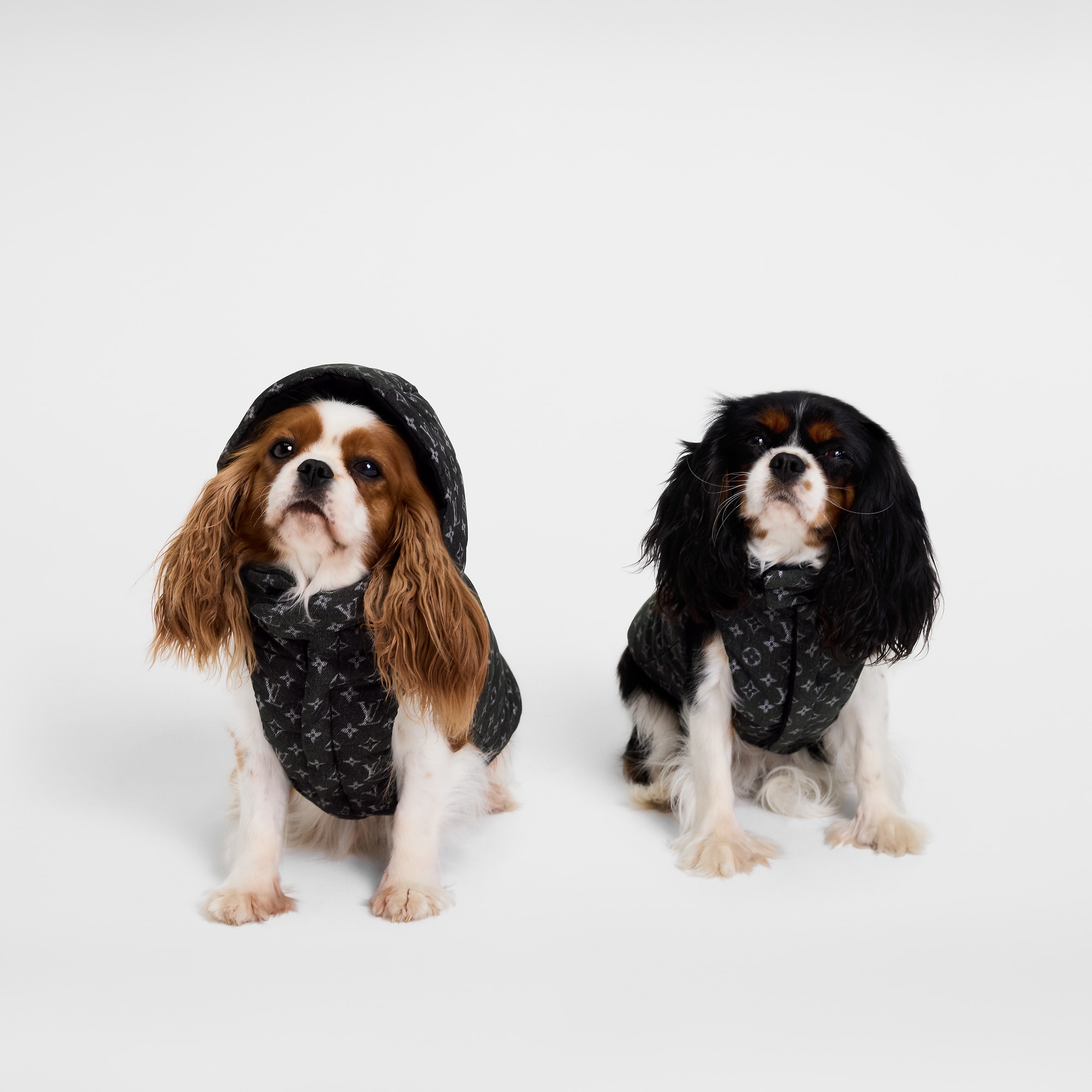 Dog Puffer Jacket XS