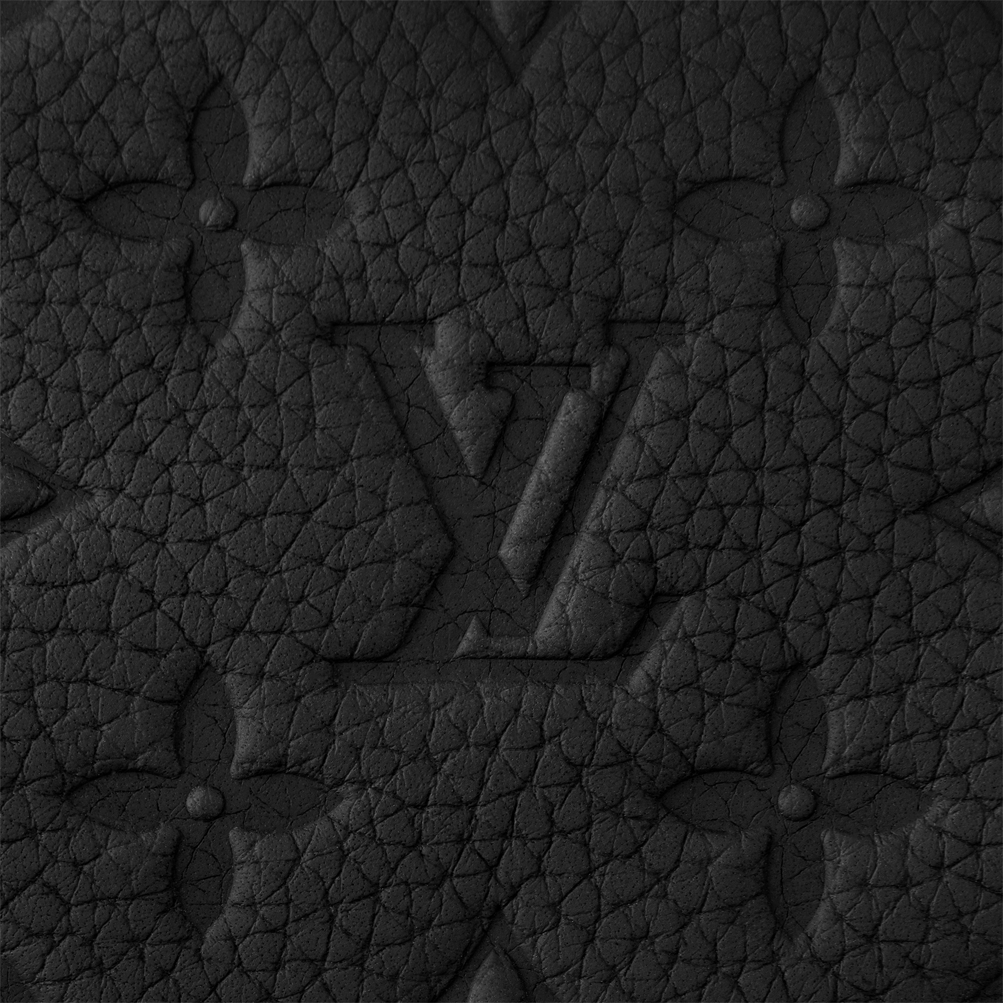 Monogram Taurillon Leather Travel Travel Accessories Dopp Kit | Louis Vuitton ® (Product zoom)