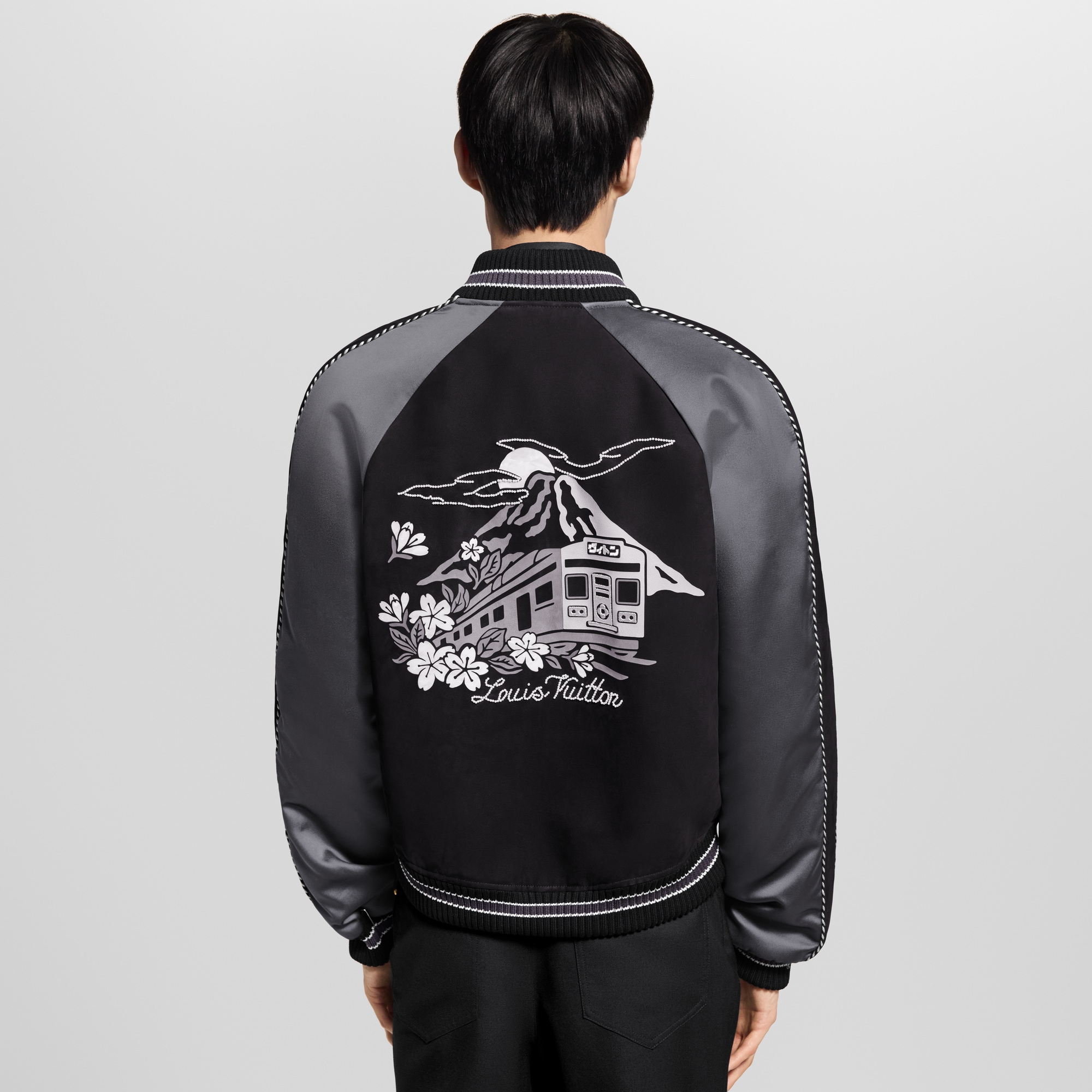  Ready-to-Wear Coats and Outerwear Embellished Mix Leather Blouson | Louis Vuitton ® (Product zoom)