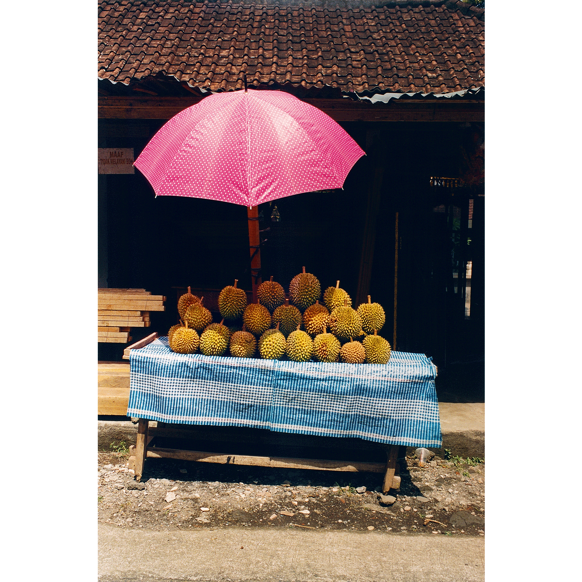 Fashion Eye Bali