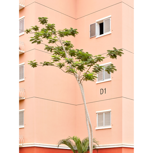 Library Fashion Eye Fashion Eye Kilamba | Louis Vuitton ® (Product zoom)