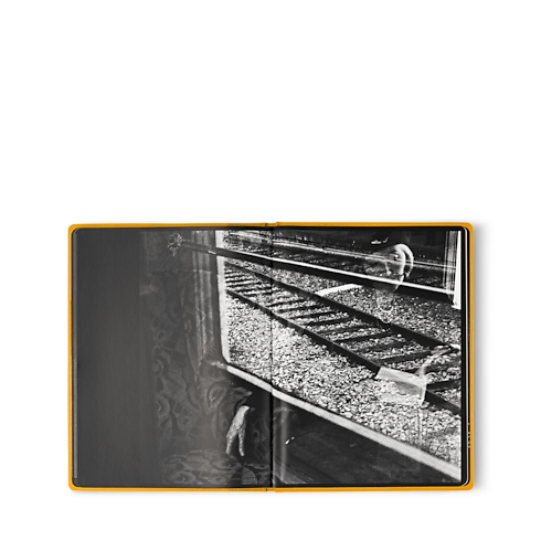 Library Fashion Eye Fashion Eye Orient Express | Louis Vuitton ® (Product zoom)