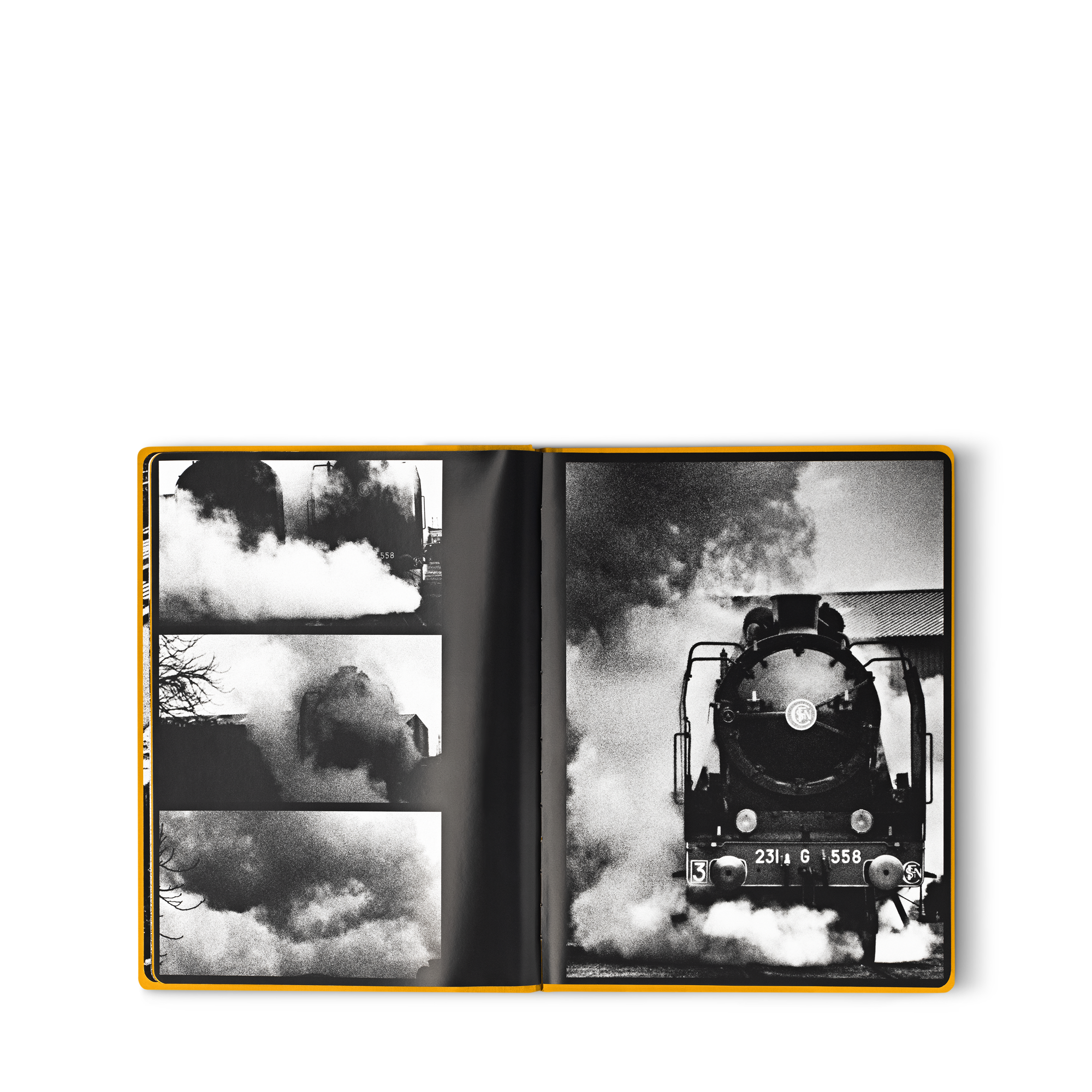  Library Fashion Eye Fashion Eye Orient Express | Louis Vuitton ® (Product zoom)