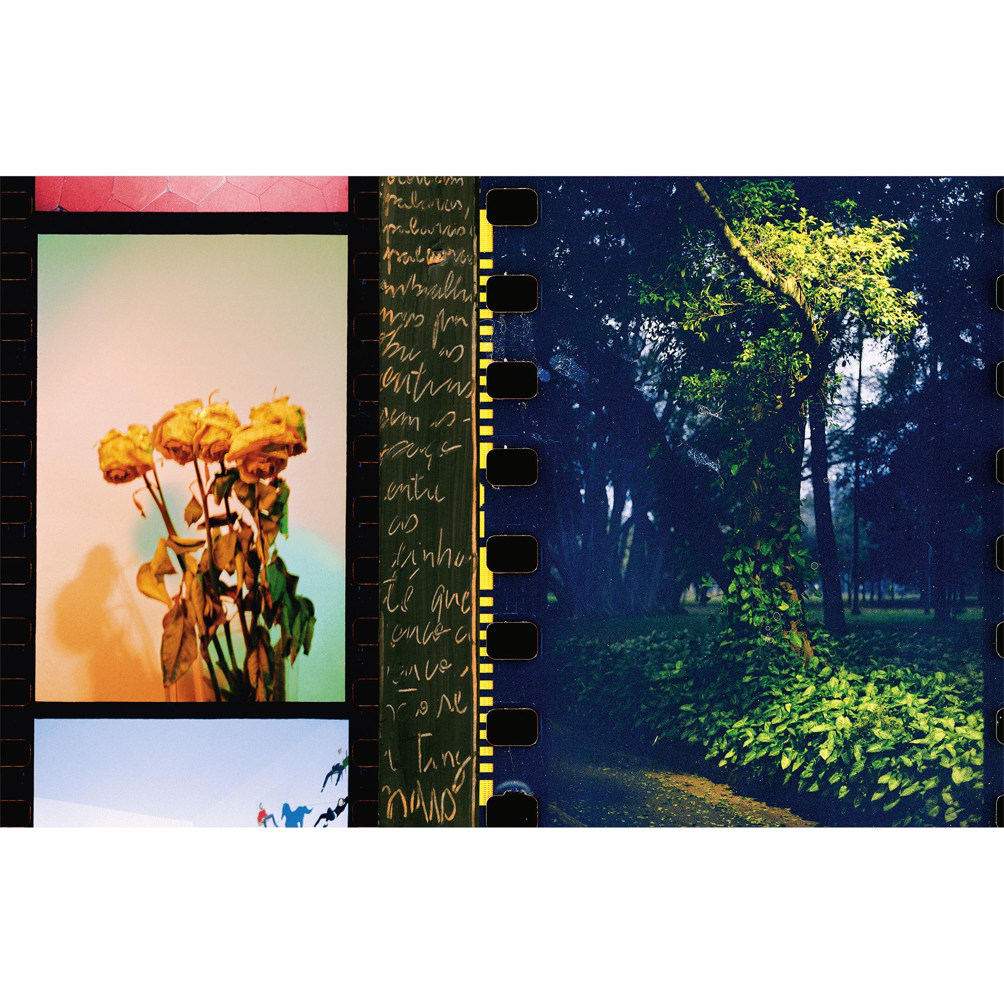  Library Fashion Eye Fashion Eye Sao Paulo | Louis Vuitton ® (Product zoom)