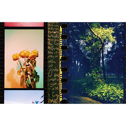 Library Fashion Eye Fashion Eye Sao Paulo | Louis Vuitton ® (Product zoom)