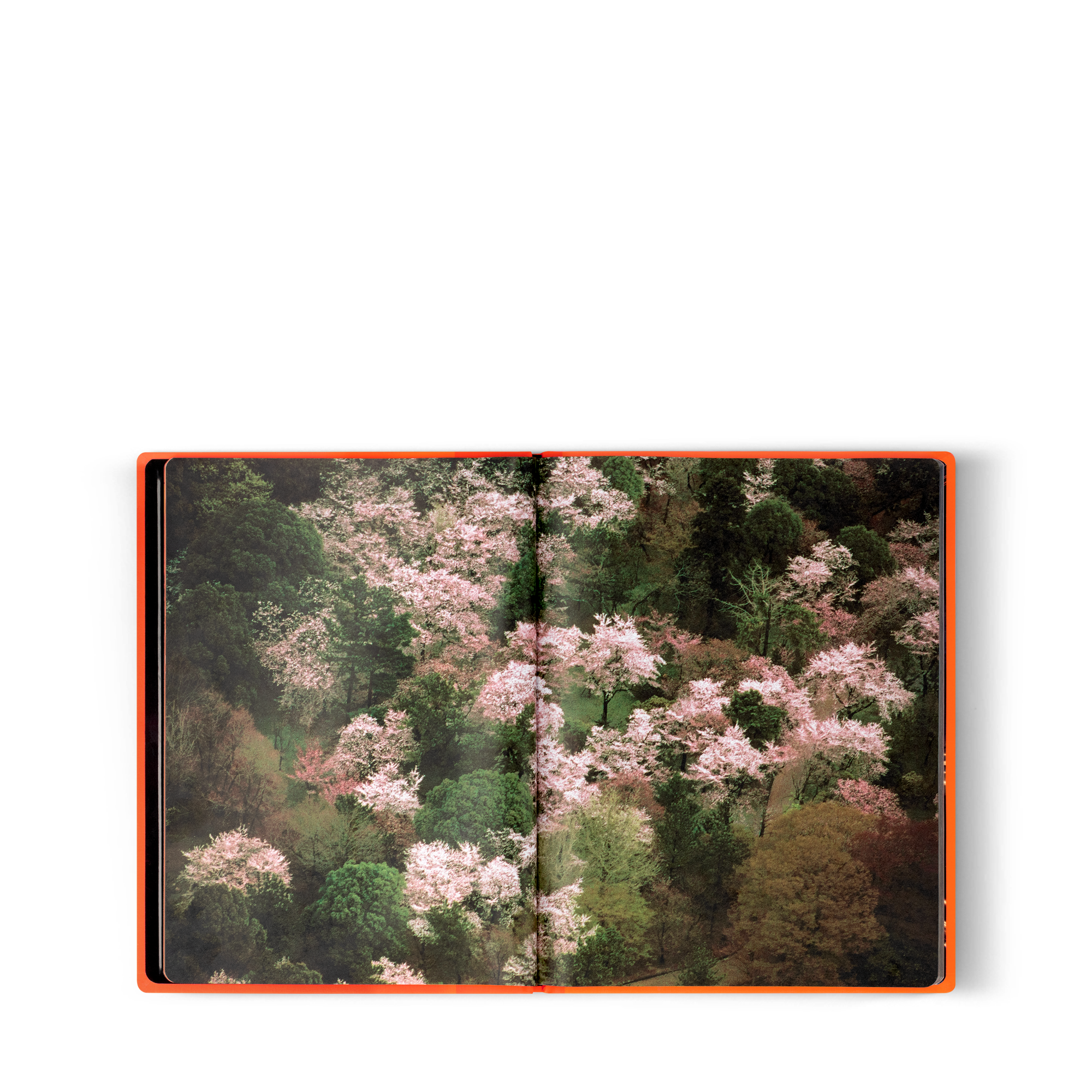  Library Fashion Eye Fashion Eye Silk Road | Louis Vuitton ® (Product zoom)