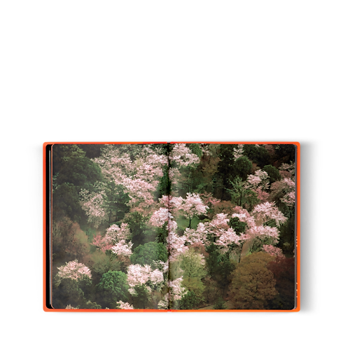 Library Fashion Eye Fashion Eye Silk Road | Louis Vuitton ® (Product zoom)