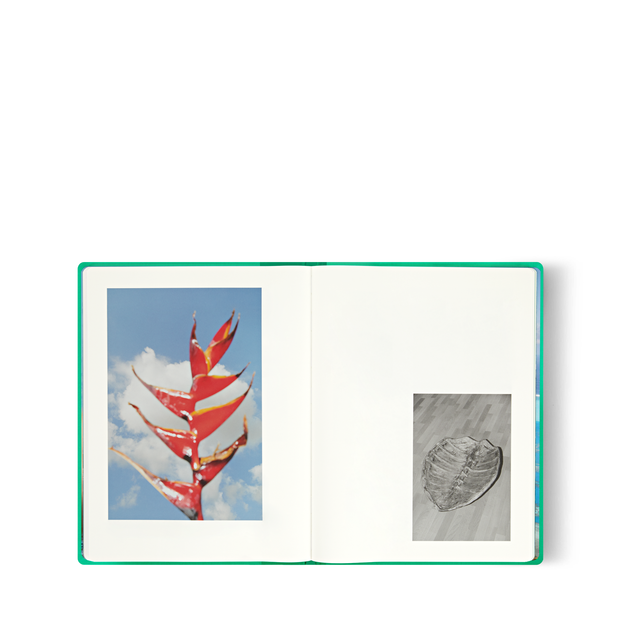  Library Fashion Eye Fashion Eye Tahiti By Jonathan Llense | Louis Vuitton ® (Product zoom)