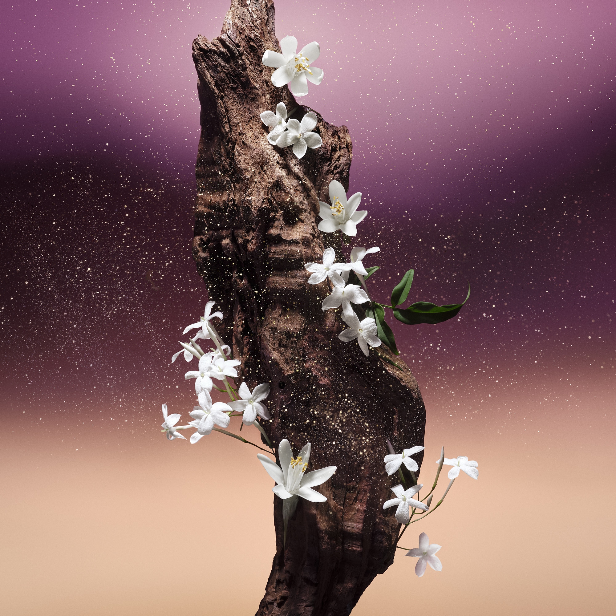 Fleur du Désert - Perfumes and Beauty - All Perfumes | LOUIS VUITTON ®