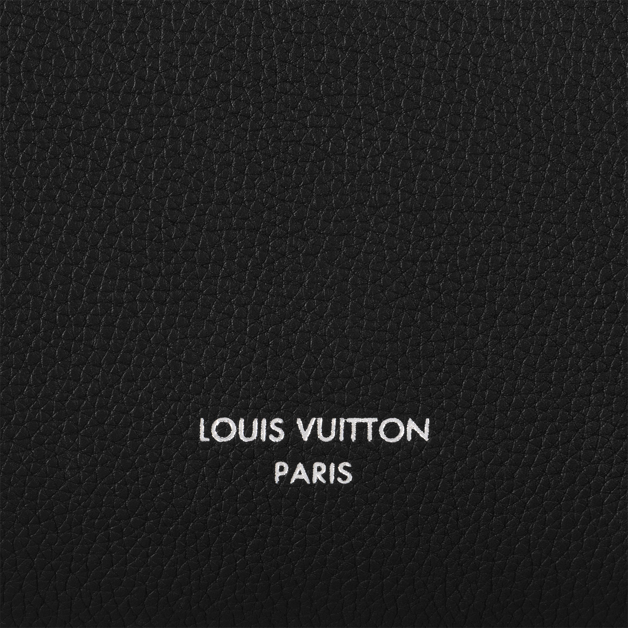 H30 Travel Travel Bags Georges Tote GM | Louis Vuitton ® (Product zoom)