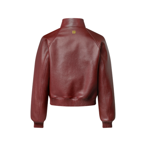 Ready-to-Wear Coats and Outerwear Grained Leather Jacket | Louis Vuitton ® (Product zoom)