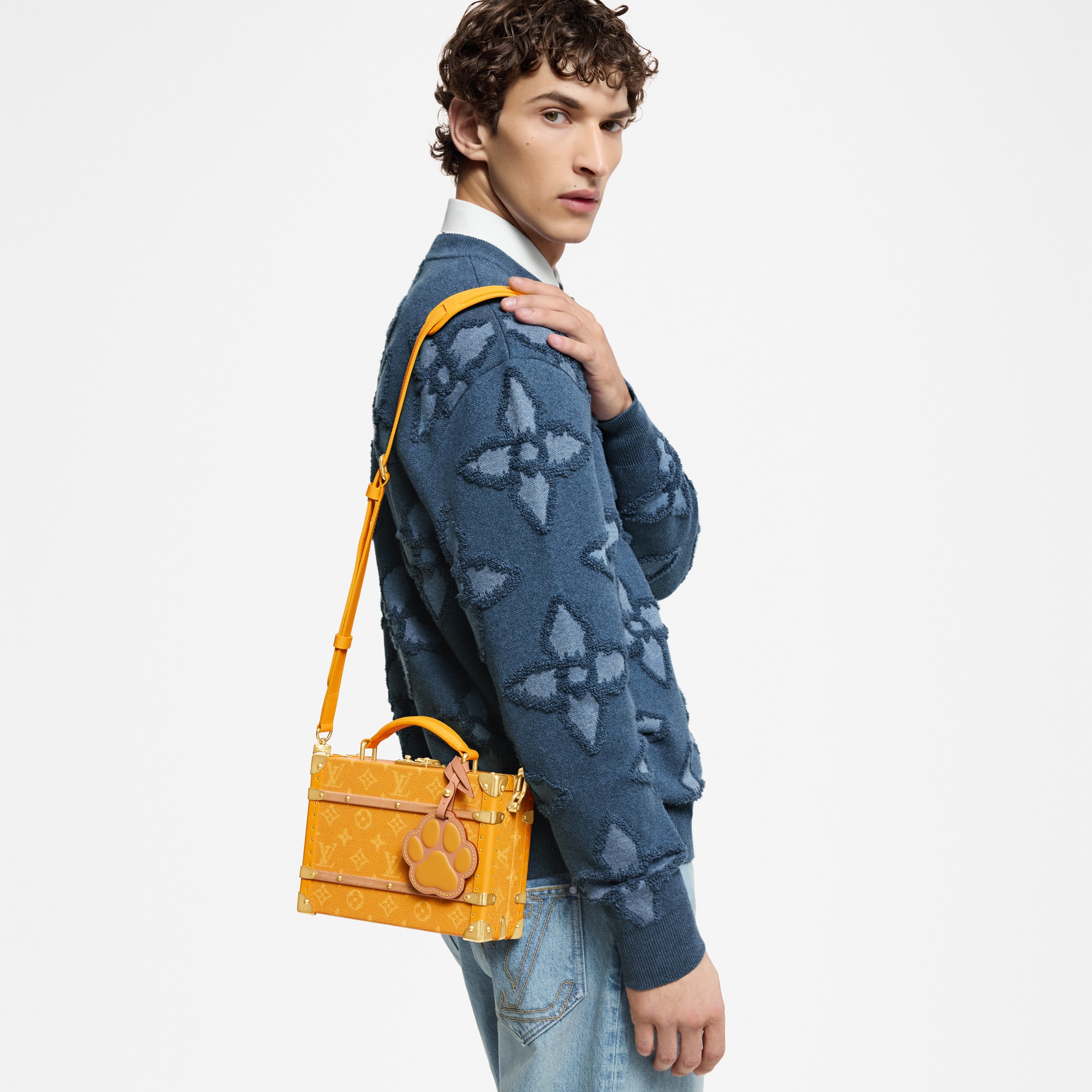 Other Monogram Canvas Trunks and Boxes Wearable Trunks Handle Trunk  | Louis Vuitton ® (Product zoom)