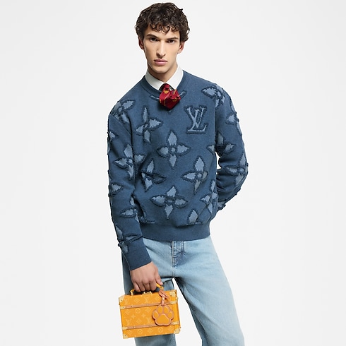 Other Monogram Canvas Trunks and Boxes Wearable Trunks Handle Trunk | Louis Vuitton ® (Product zoom)