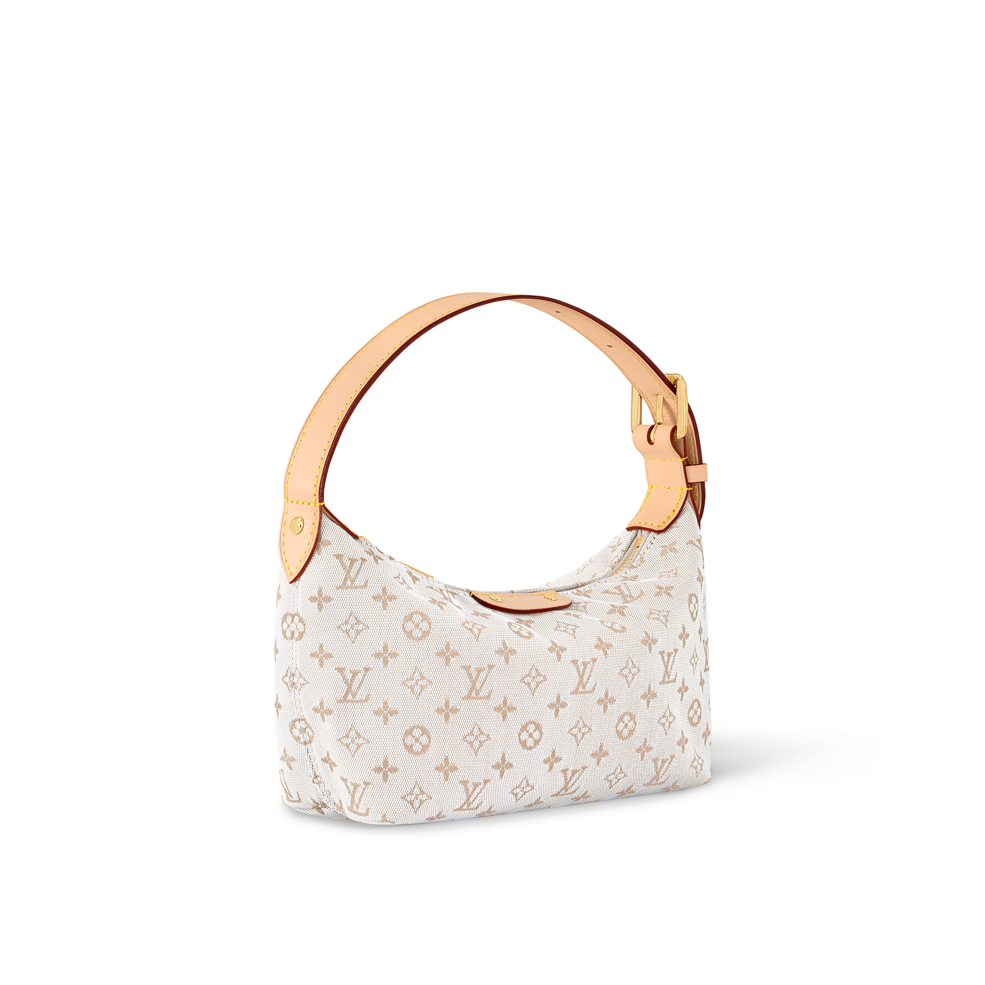 Other Monogram Canvas Small Leather Goods Wallets on Chain and Nano Bags Hills Pochette | Louis Vuitton ® (Product zoom)