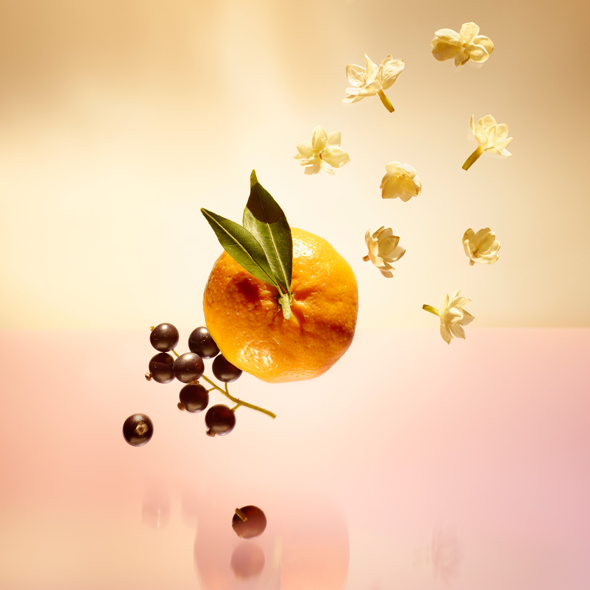 Le Jour Se Lève - Perfumes and Beauty - Perfumes Gifts | LOUIS 
