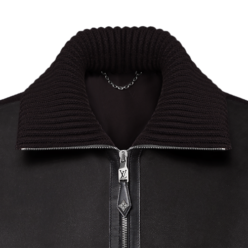 Ready-to-Wear All Ready-to-Wear Leather Mix Blouson | Louis Vuitton ® (Product zoom)